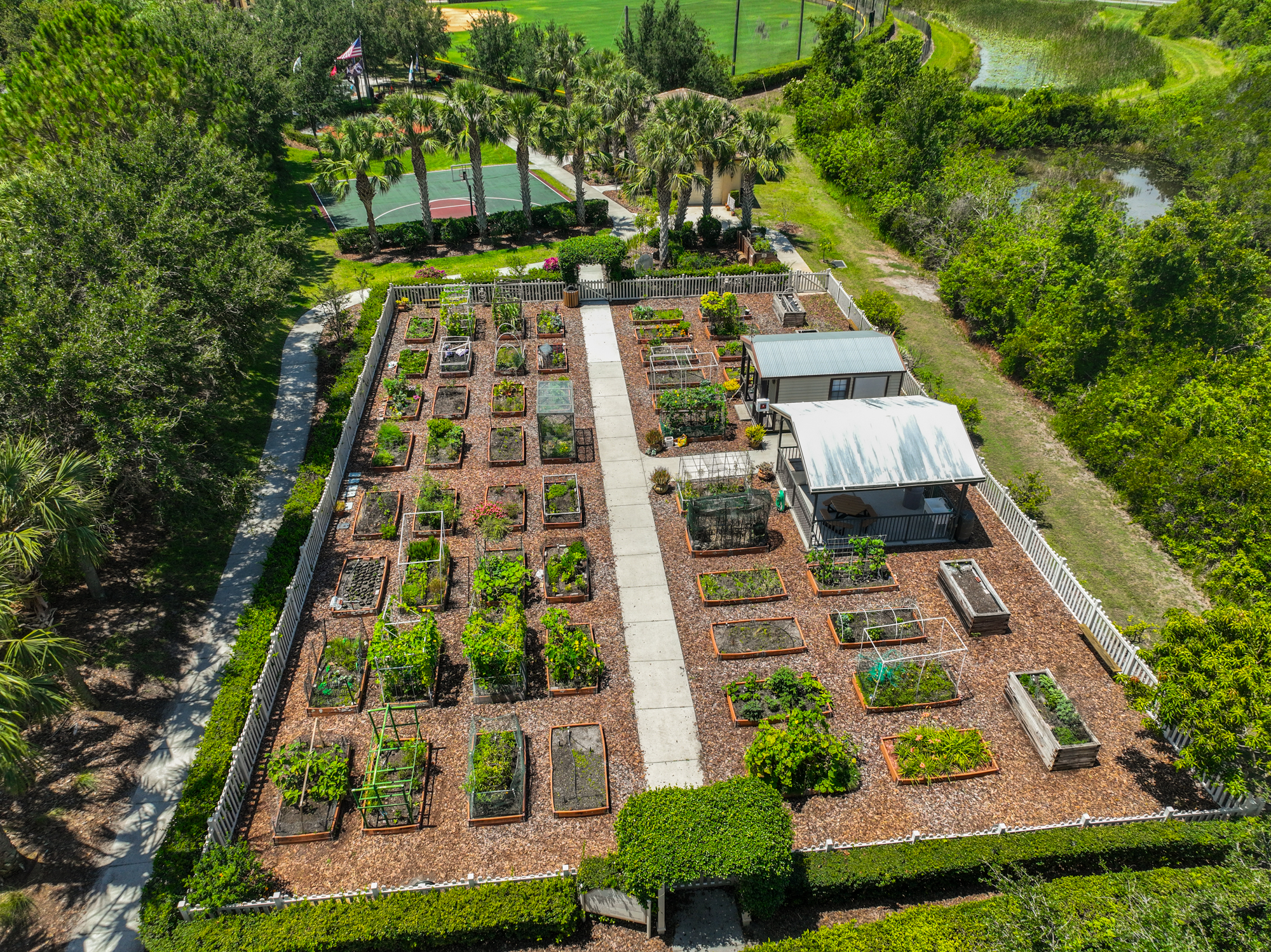 Wimauma, Florida, 33598, United States, 3 Bedrooms Bedrooms, ,3 BathroomsBathrooms,Residential,For Sale,1982600