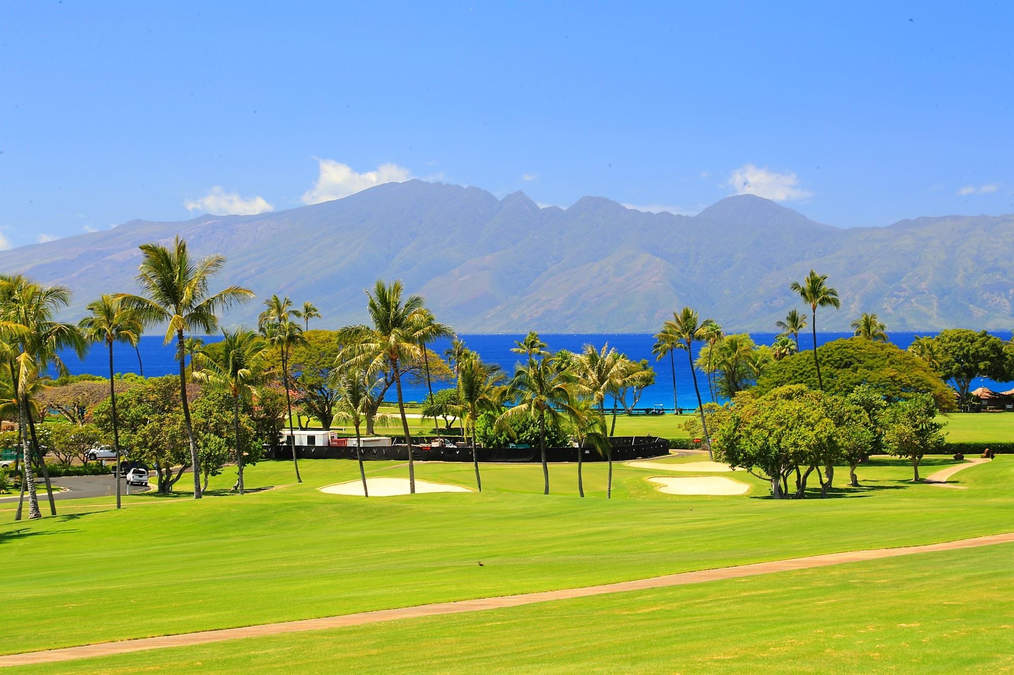 Lahaina, Hawaii, 96761, United States, ,Land,For Sale,1895971