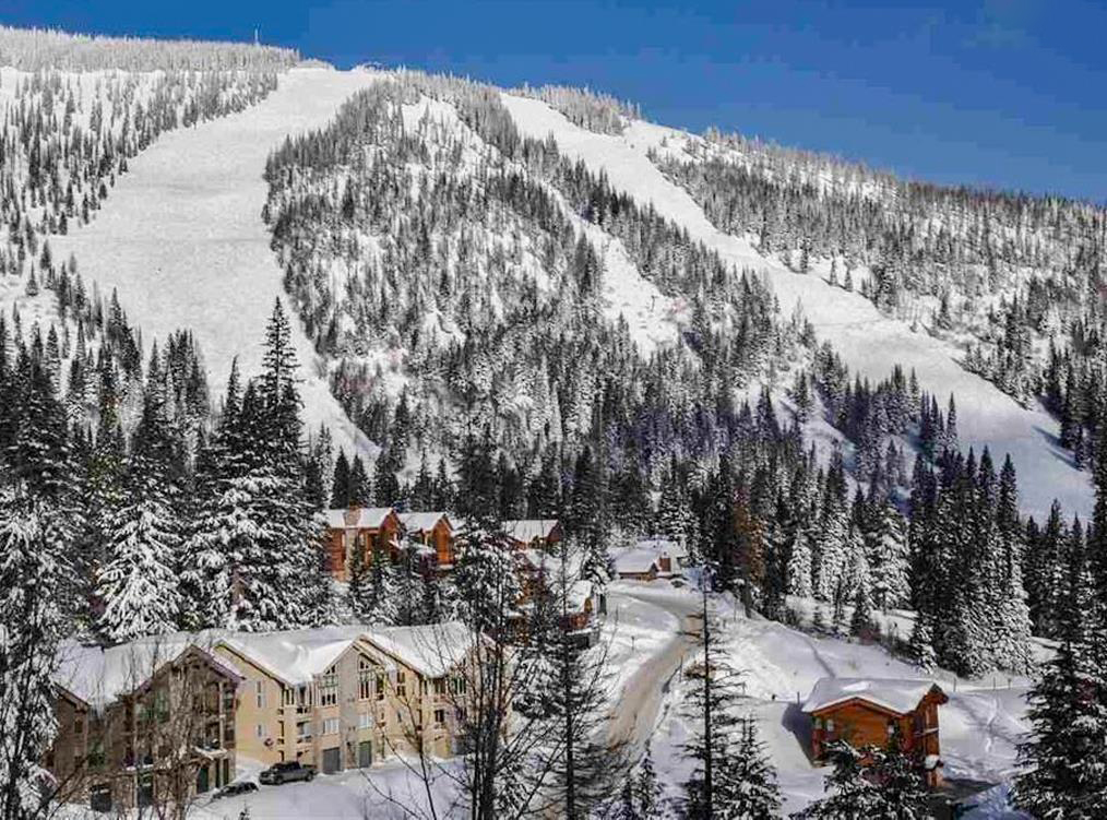 Sagle, Idaho, 83860, United States, ,Land,For Sale,1983081