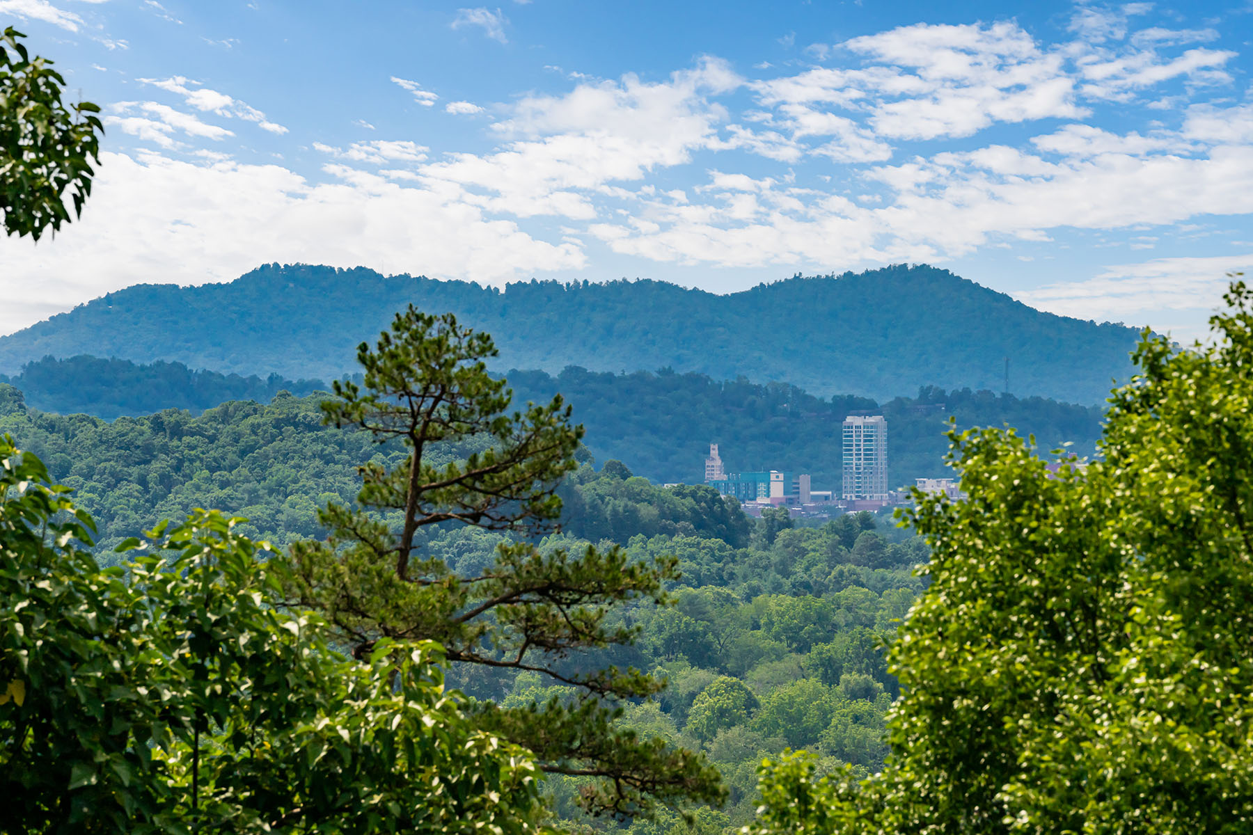  ASHEVILLE - 物件實景