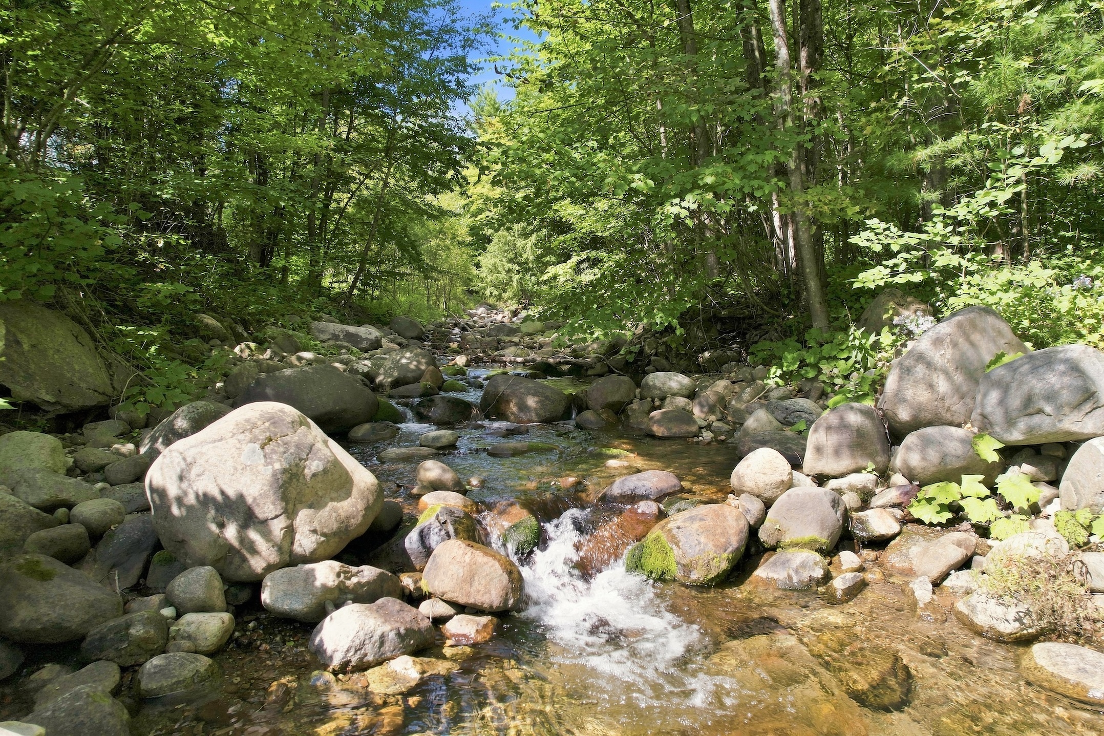  328 Hurricane Mountain Lane, Elizabethtown, NY, 12932 - 物件實景