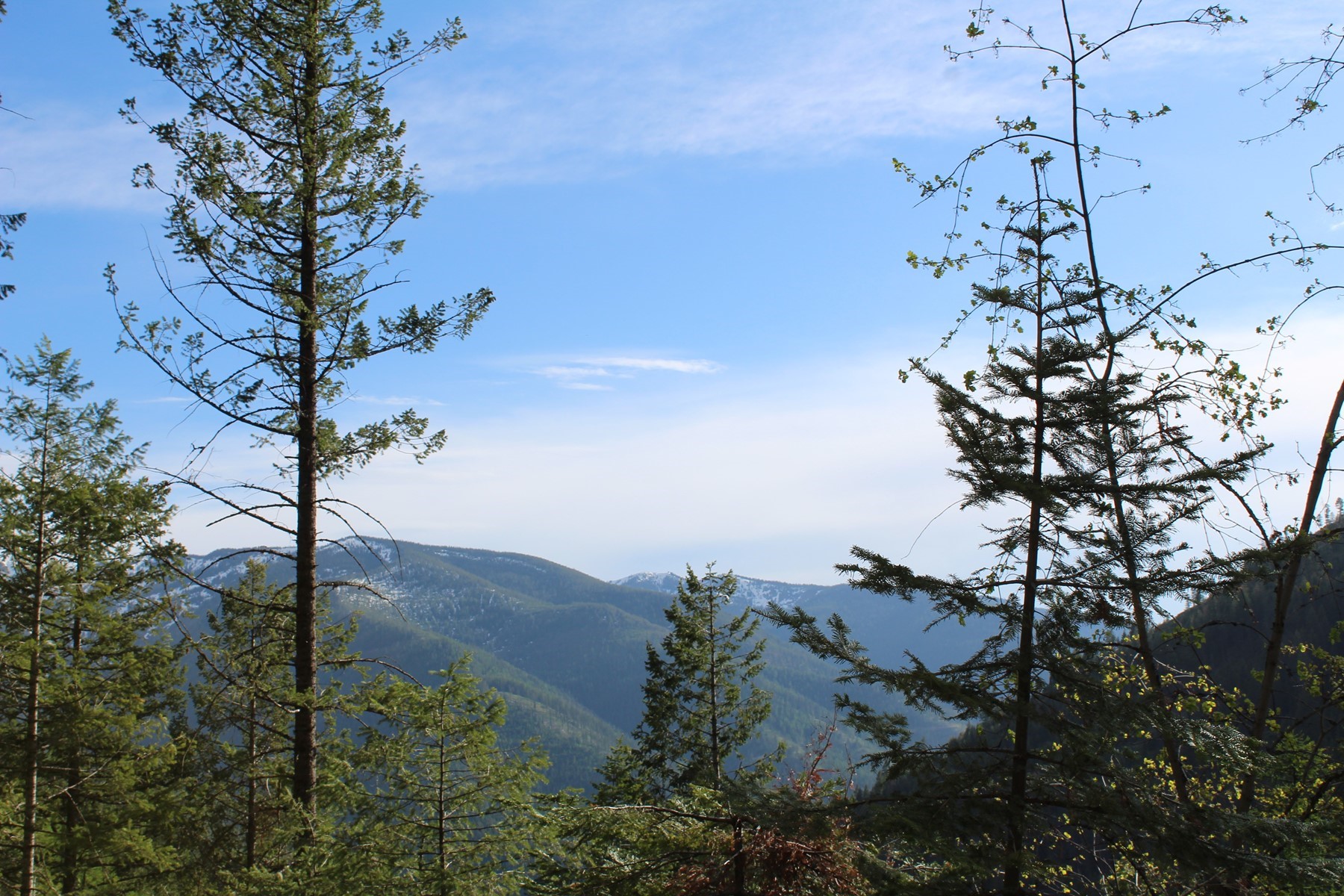  19a Daisy Gulch Road - 物件實景