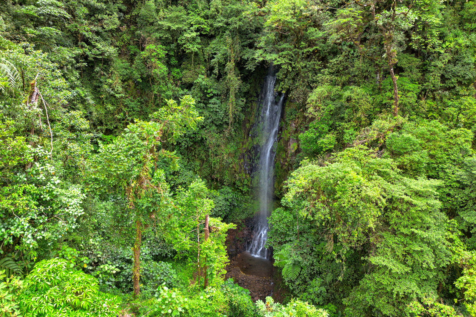  Centro Científico para la Conservación Bosque de Paz - 物件實景