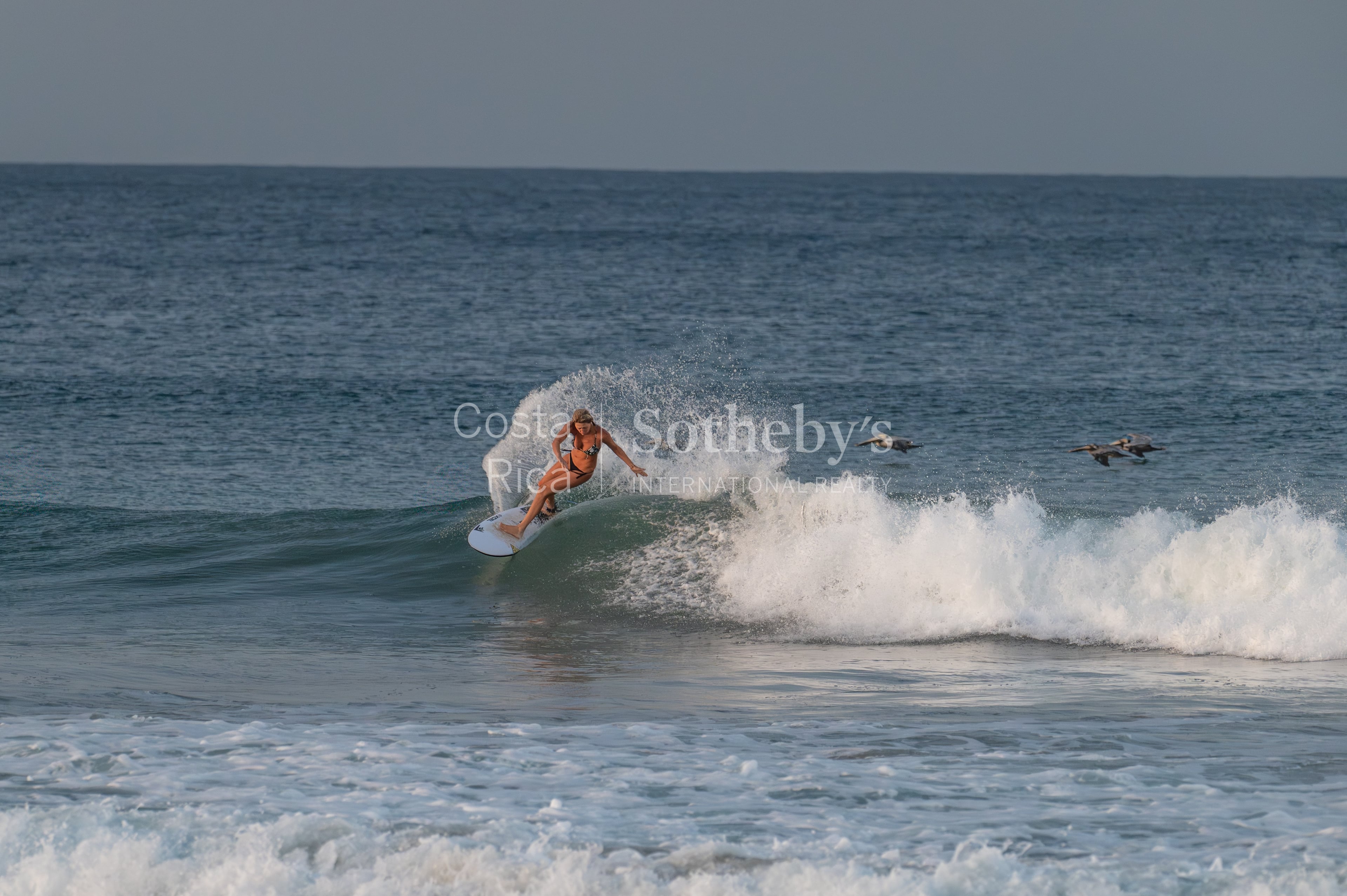  Villa Aqualume - 物件實景
