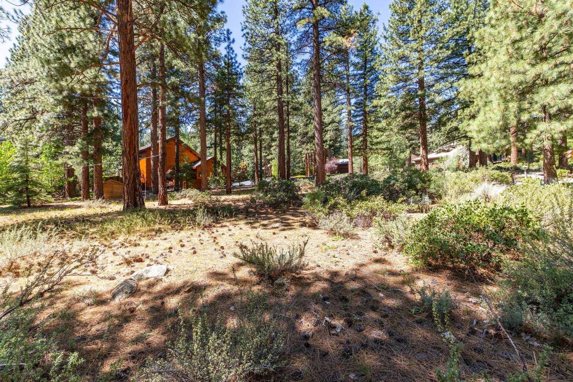  Private Galena Forest Parcel Near Mt. Rose with Pines & Tahoe Access - 物件實景