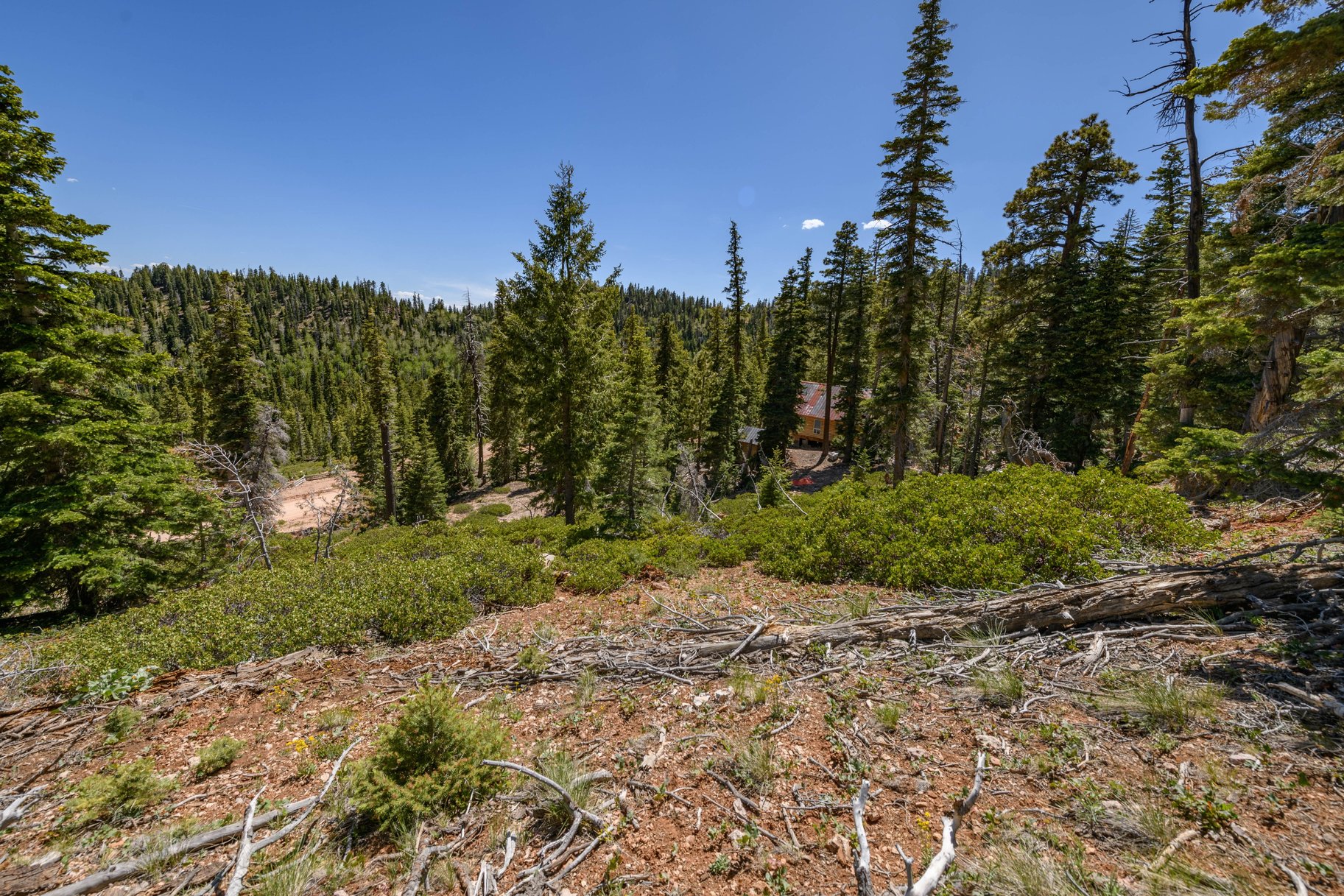  Quiet Mountain Retreat Near Navajo Lake - 物件實景