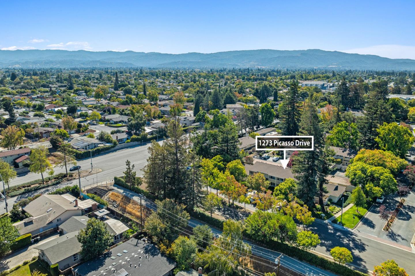 Sunnyvale, California, 94087, United States, 2 Bedrooms Bedrooms, ,2 BathroomsBathrooms,Residential,For Sale,1947978