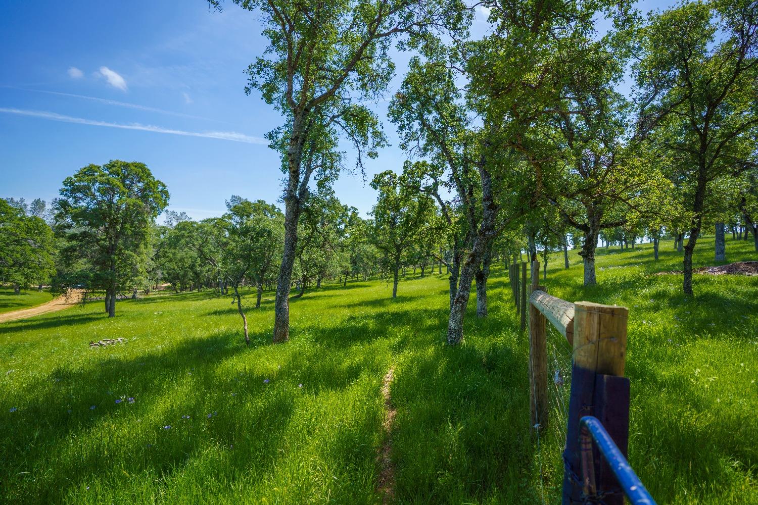 Lincoln, California, 95648, United States, ,Land,For Sale,1784125