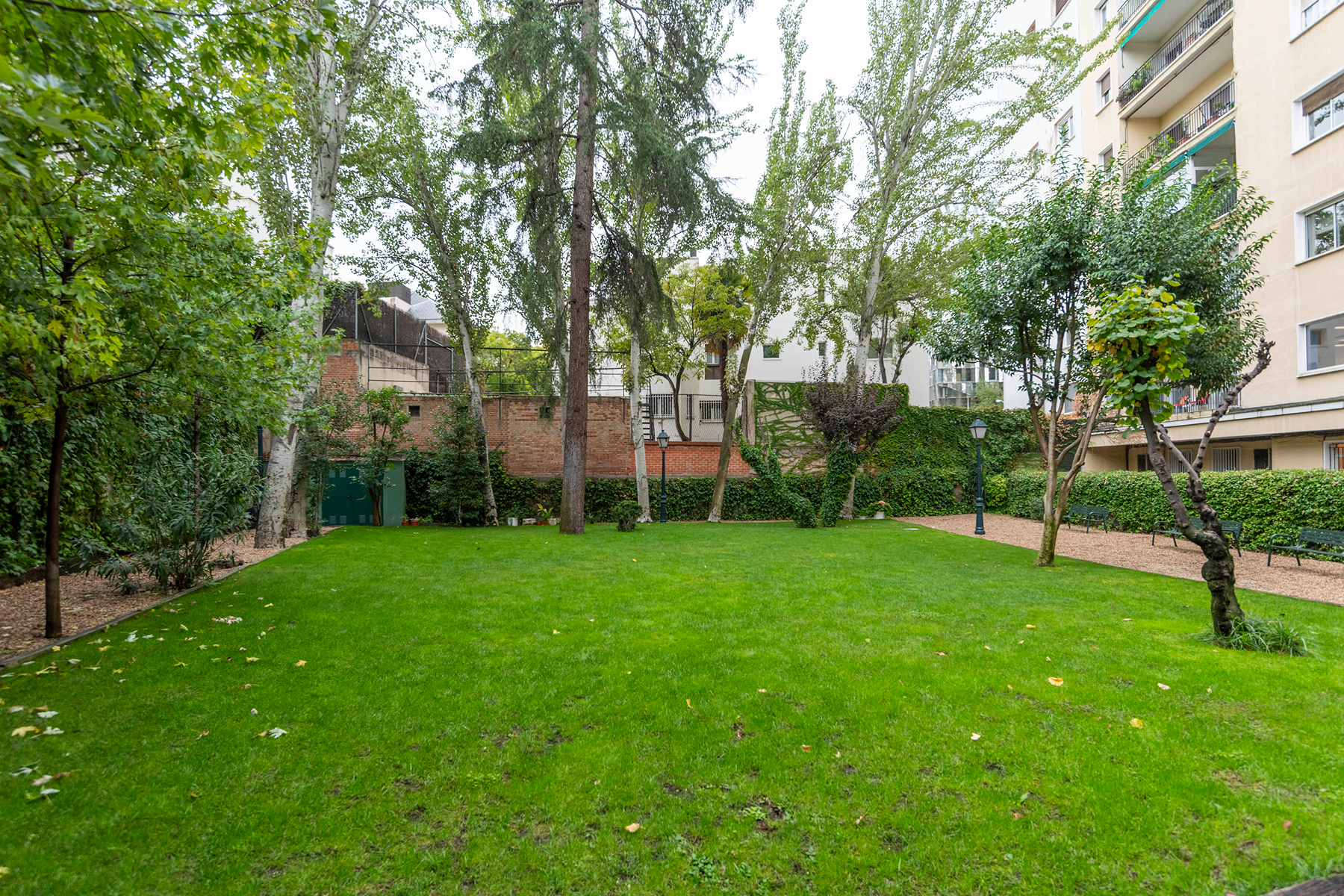  Apartment in El Viso to renovate - 物件實景