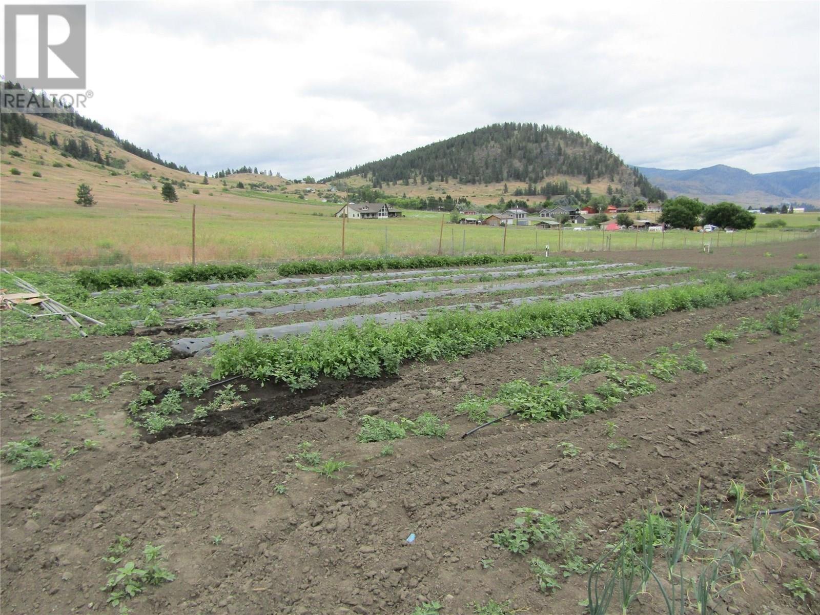 GRAND FORKS, British Columbia, V0H 1H5, CA, 6 Bedrooms Bedrooms, ,3 BathroomsBathrooms,Residential,For Sale,1947693