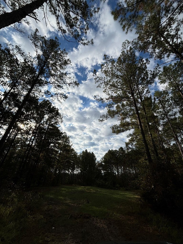 Abbeville, Georgia, 31001, United States, ,Land,For Sale,1975130