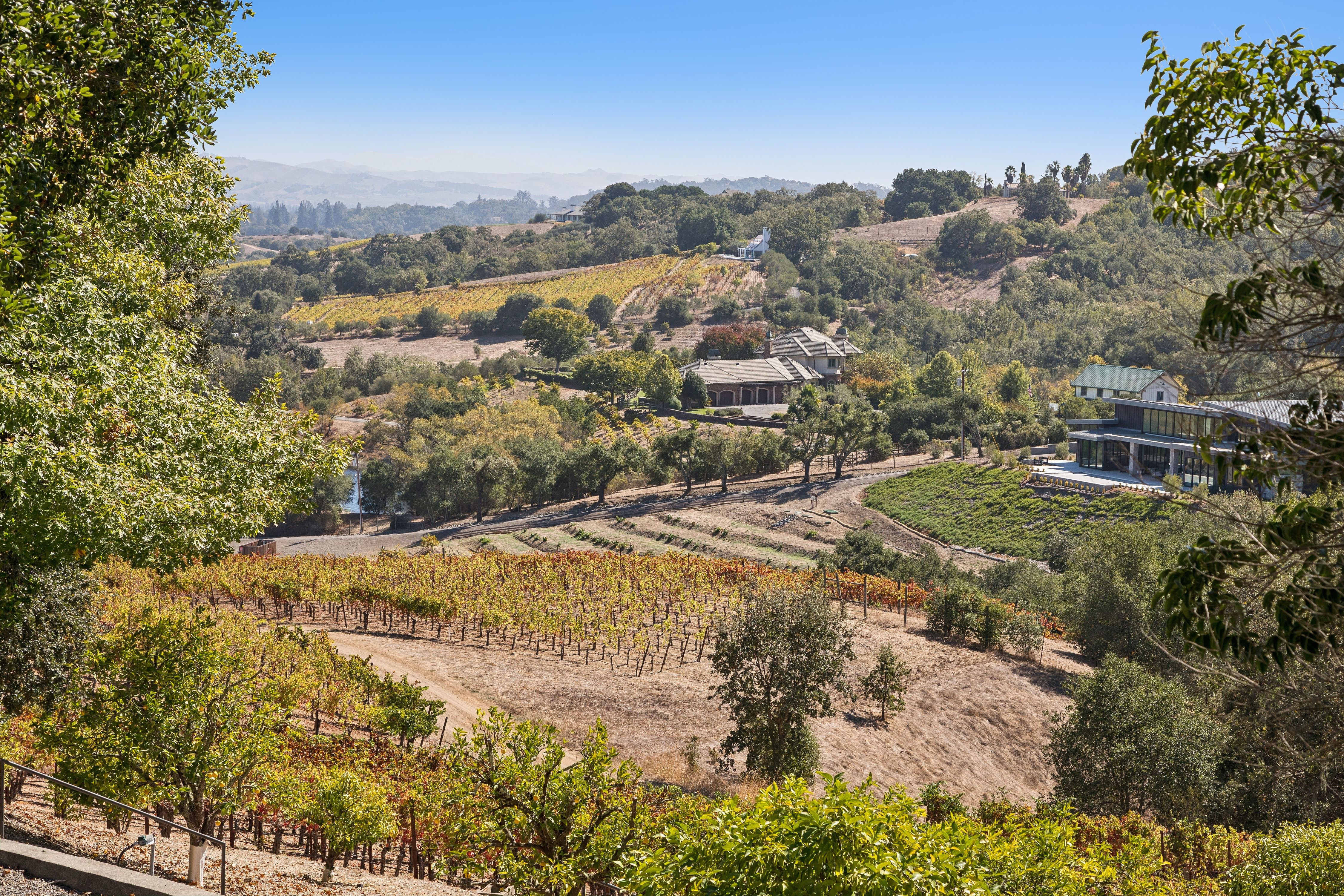  Exceptional Napa Valley Legacy Property - 物件實景