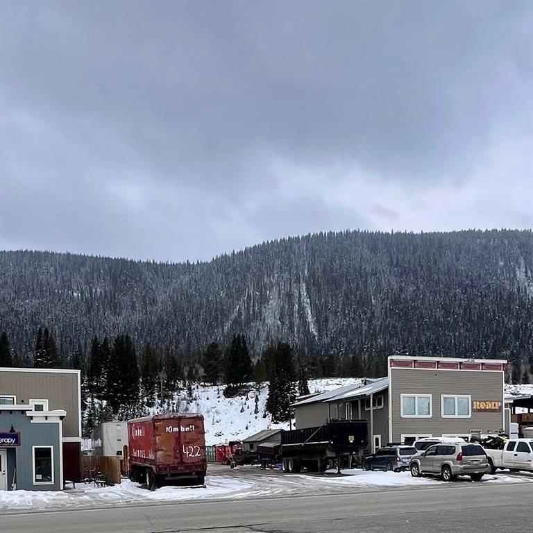 422 Belleview Avenue, Crested Butte, Colorado, 81224, United States, ,Land,For Sale,422 Belleview Avenue,1656706