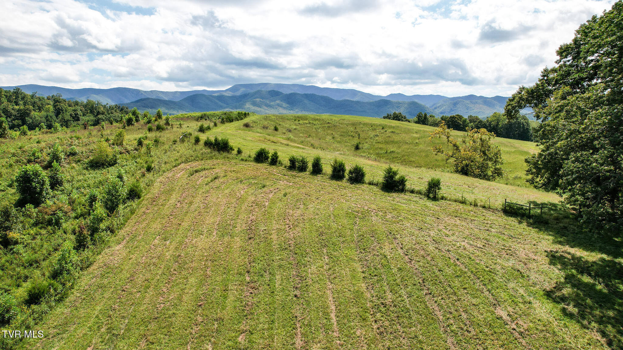 Chuckey, Tennessee, 37641, United States, ,Land,For Sale,1982630