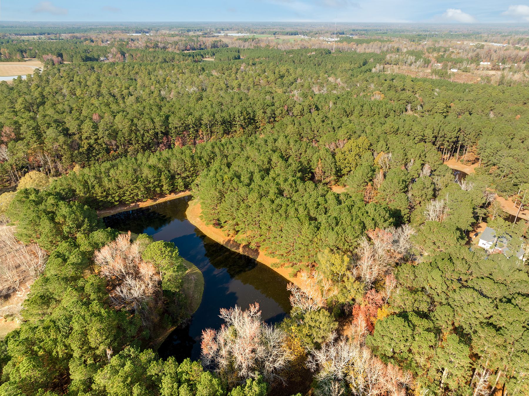 111 Loblolly Court, Wallace, NC 28466 - 物件實景