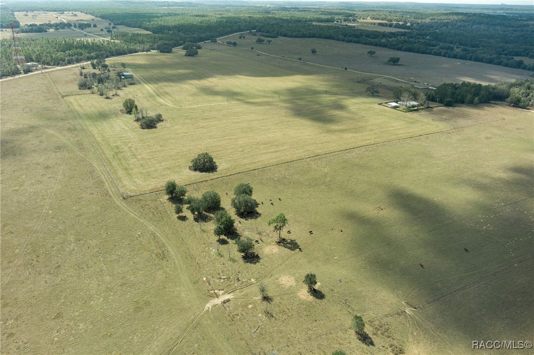 Floral City, Florida, 34436, United States, 3 Bedrooms Bedrooms, ,3 BathroomsBathrooms,Residential,For Sale,1982480