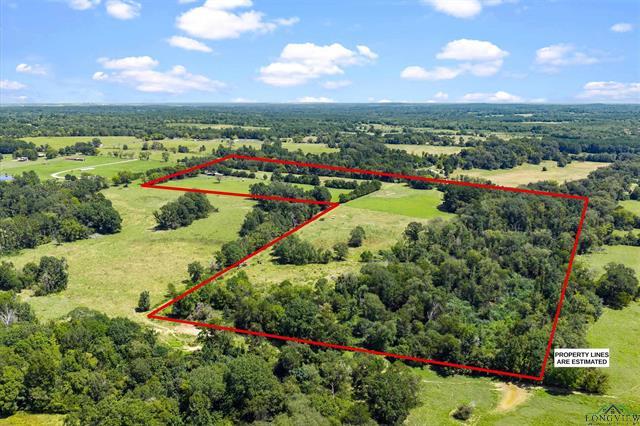 Henderson, Texas, 75652, United States, 3 Bedrooms Bedrooms, ,2 BathroomsBathrooms,Residential,For Sale,1958802