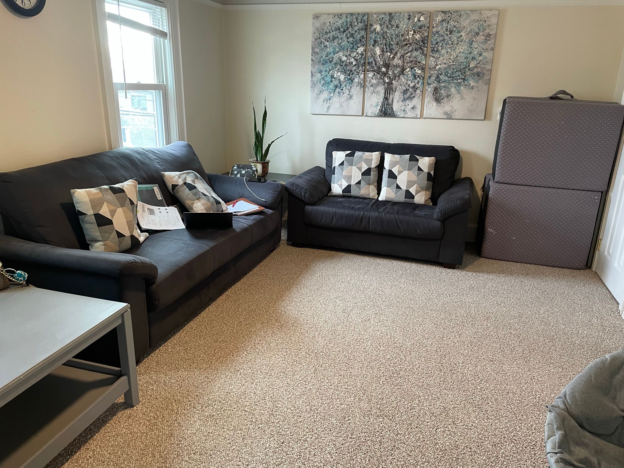  54 McKinley Avenue, Albertson, NY 11507 - 物件實景