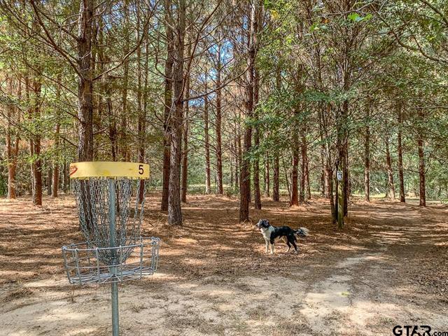 Mount Vernon, Texas, 75457, United States, ,Residential,For Sale,1998270