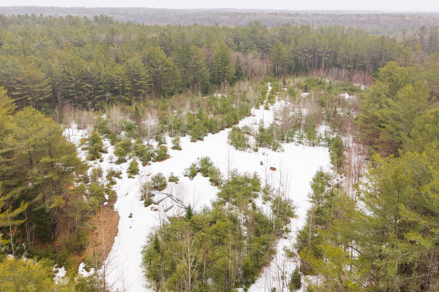  A Rare Muskoka Land Offering - 物件實景