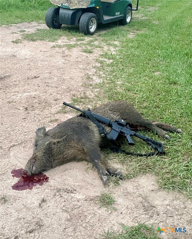 Nursery, Texas, 77976, United States, ,Land,For Sale,1988959