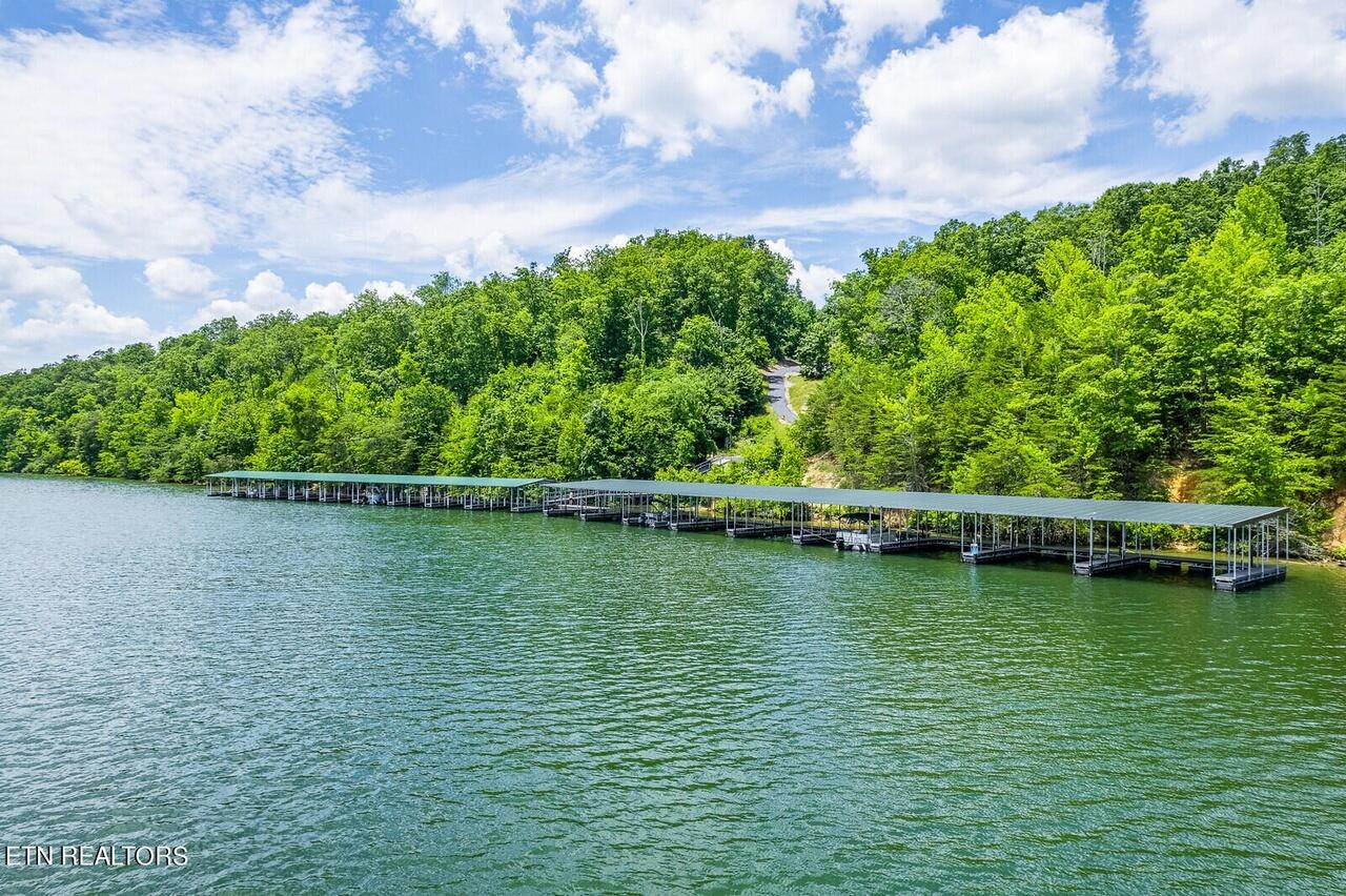 Spring City, Tennessee, 37381, United States, ,Land,For Sale,1868522