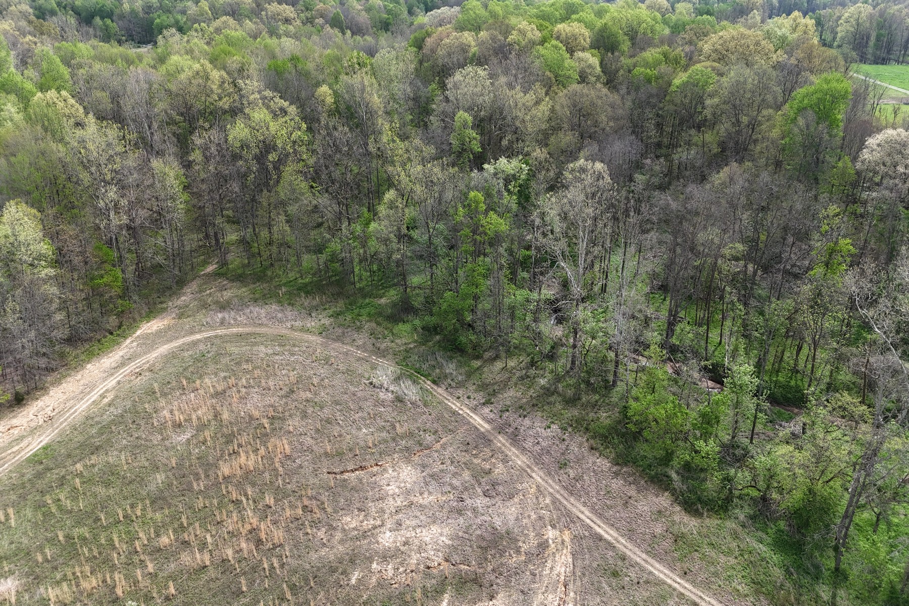  Expansive 56 Acre Property Ready For Your Dream Home - 物件實景