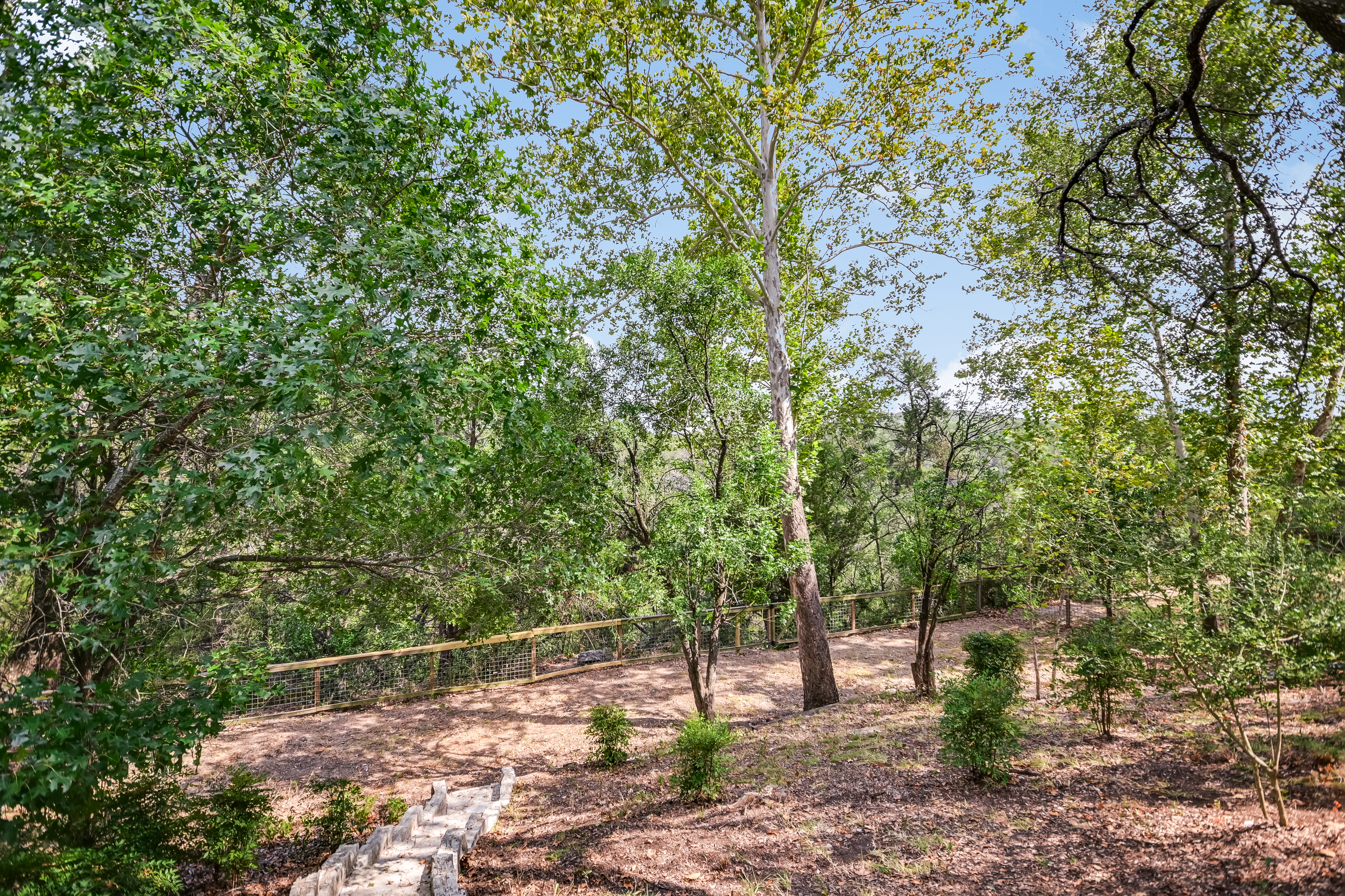  JUST LISTED - Treetop living in Lost Creek - 物件實景