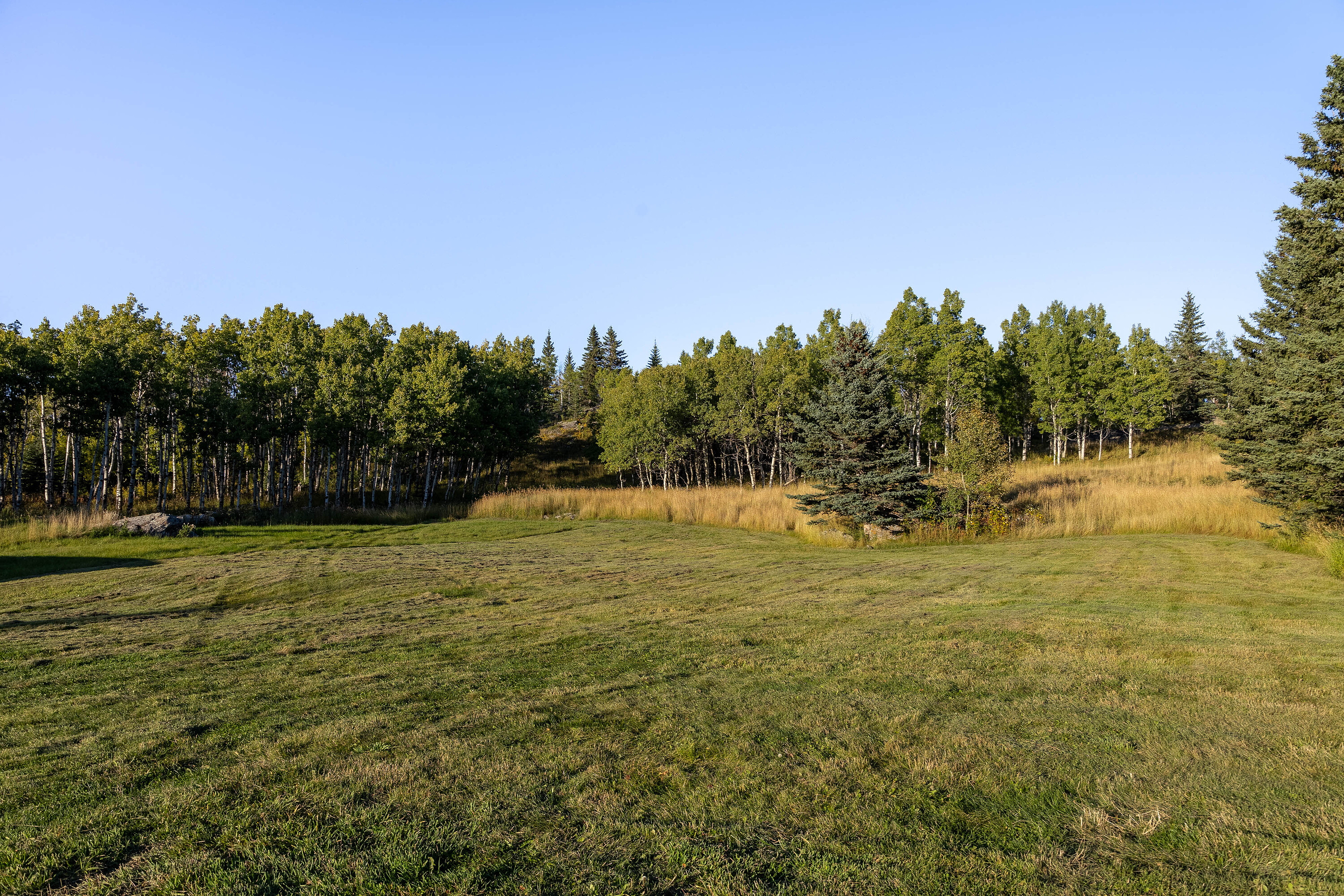  An Enduring Landscape. - 物件實景