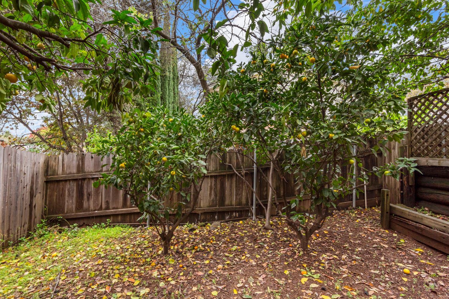 Auburn, California, 95603, United States, 3 Bedrooms Bedrooms, ,2 BathroomsBathrooms,Residential,For Sale,1998771