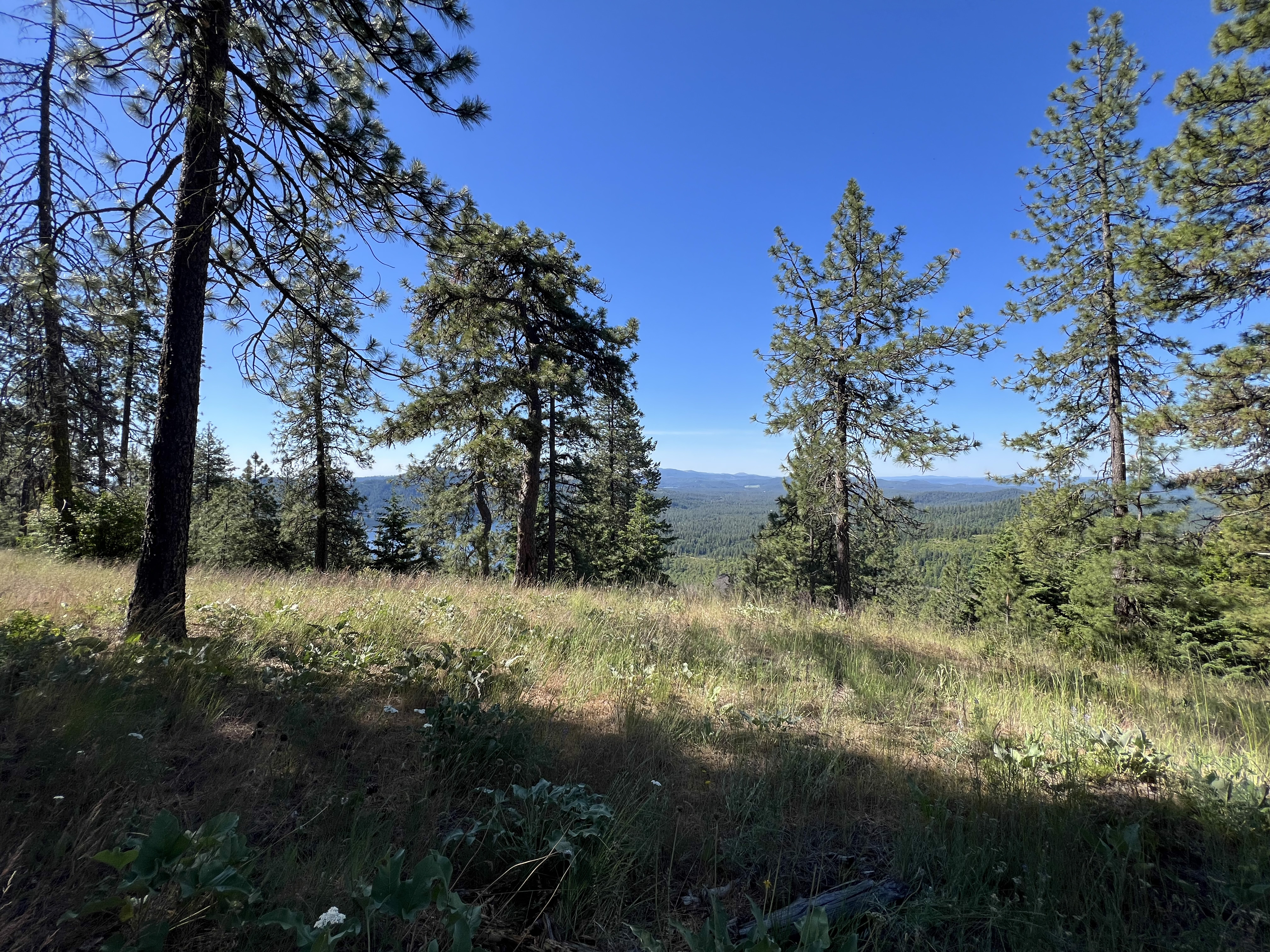 Loon Lake, Washington, 99148, United States, ,Residential,For Sale,1922836