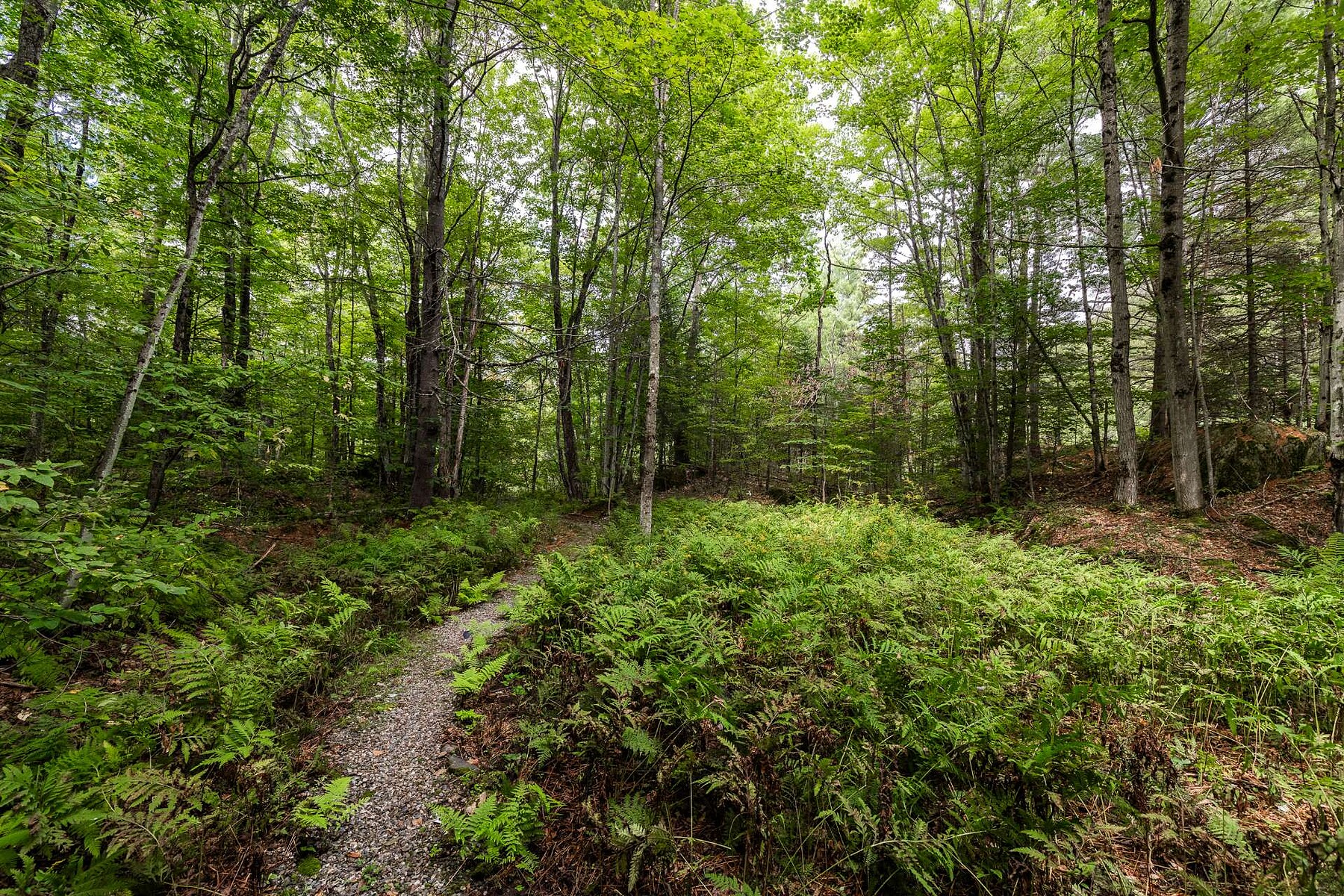  Lac-Brome, Eastern Townships - 物件實景