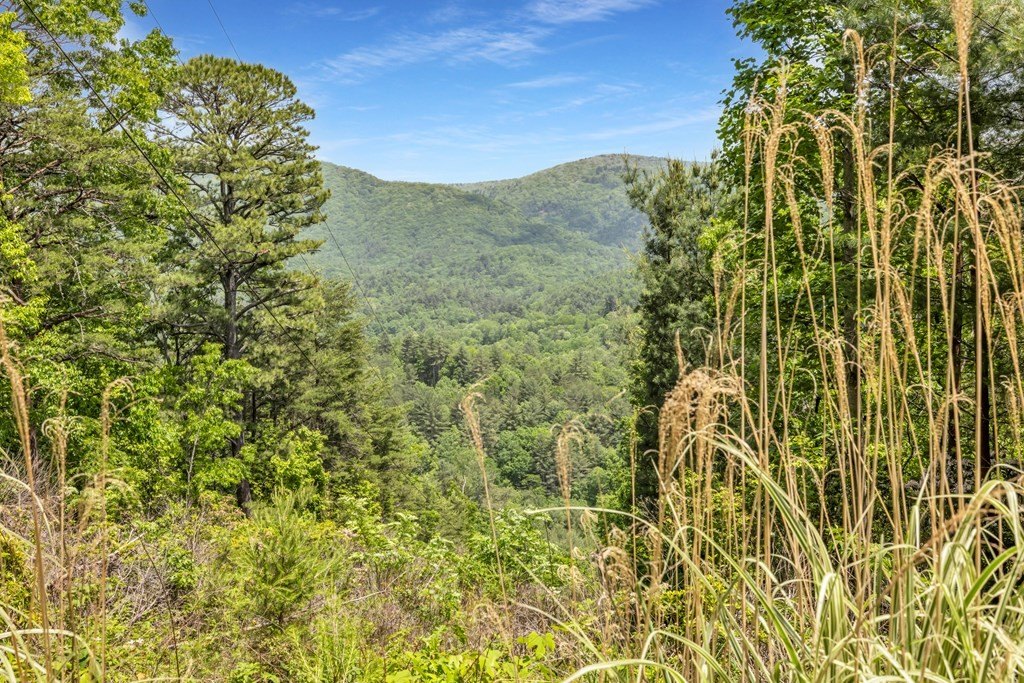 Blairsville, Georgia, 30512, United States, ,Residential,For Sale,1824066