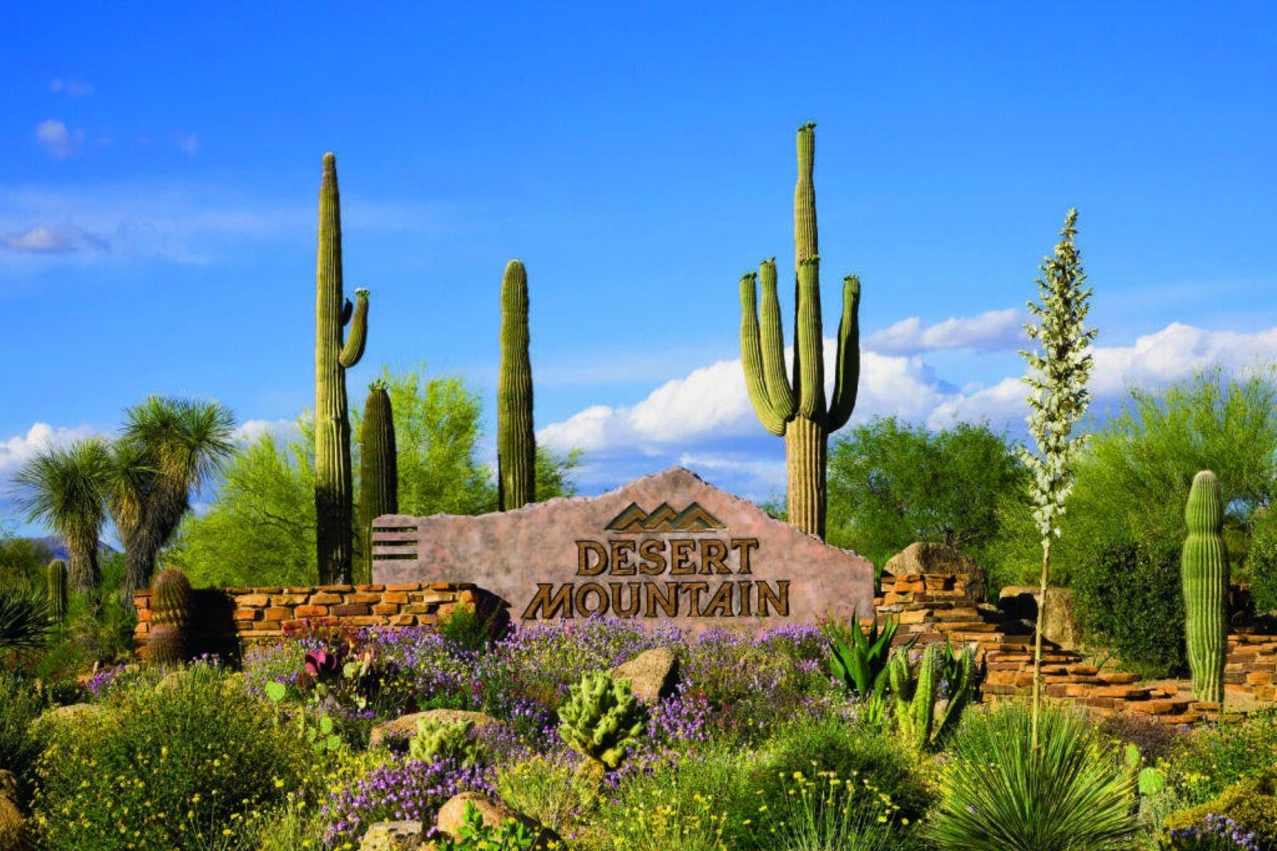  39397 N 107th Way  Scottsdale, AZ - 物件實景