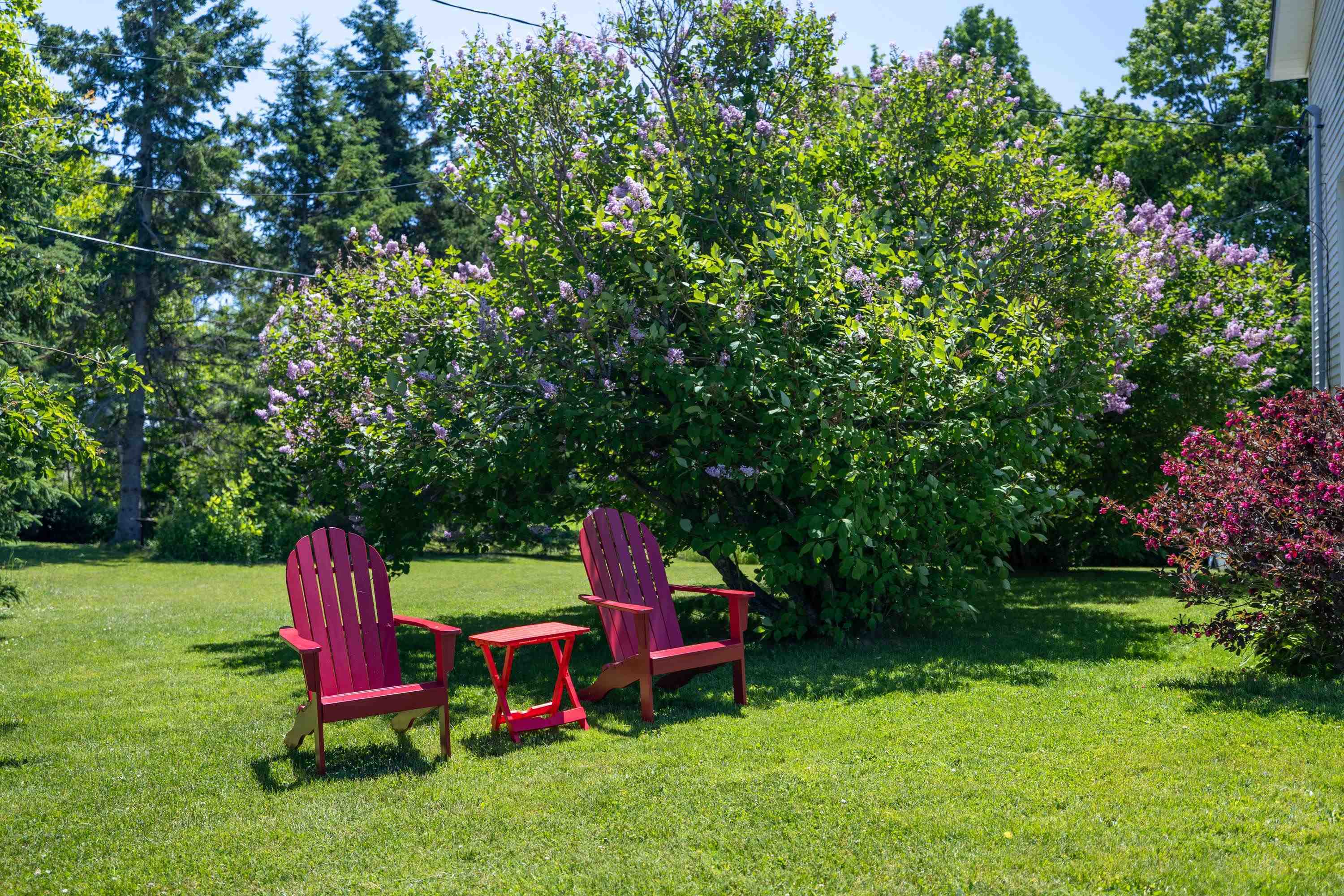 STRATFORD, Prince Edward Island, C1B 1K9, CA, 4 Bedrooms Bedrooms, ,3 BathroomsBathrooms,Residential,For Sale,1877529