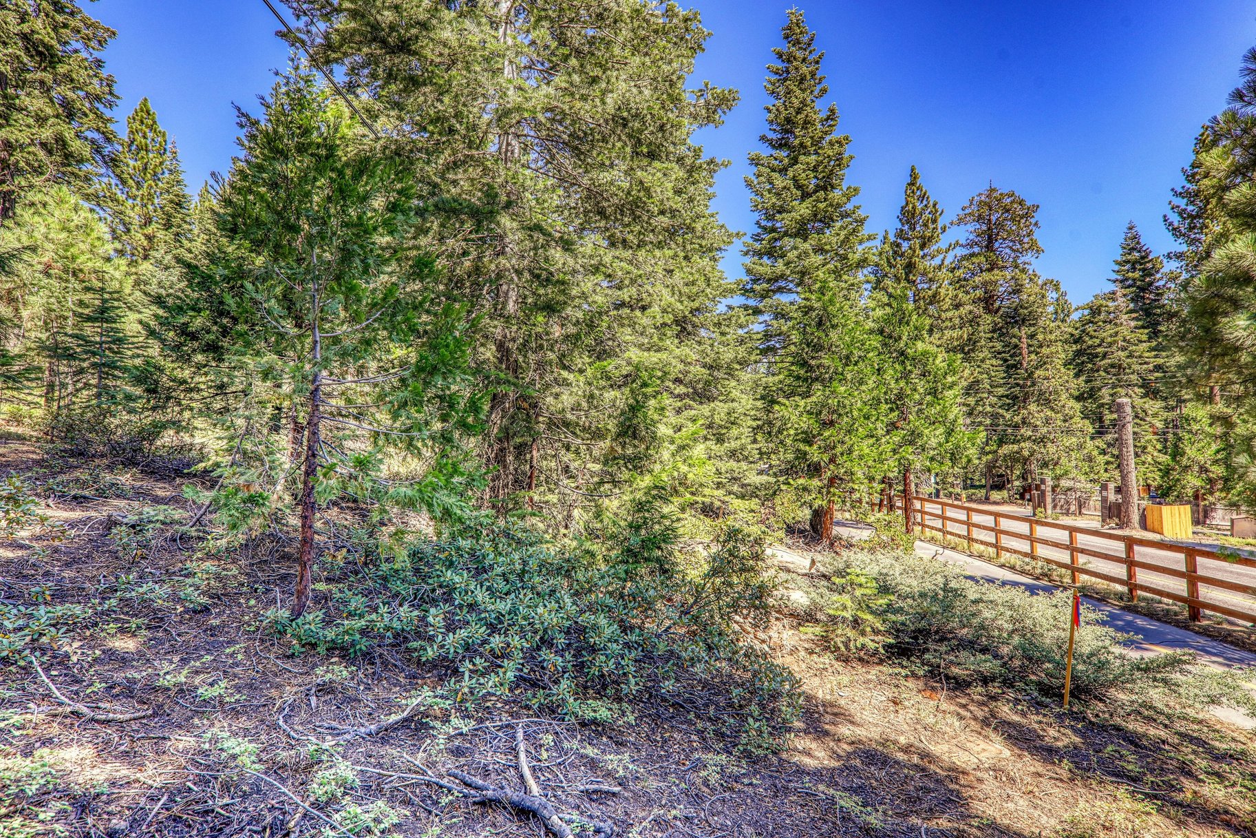  Buildable Lot Between Sunnyside and Tahoe City, Excellent Location - 物件實景