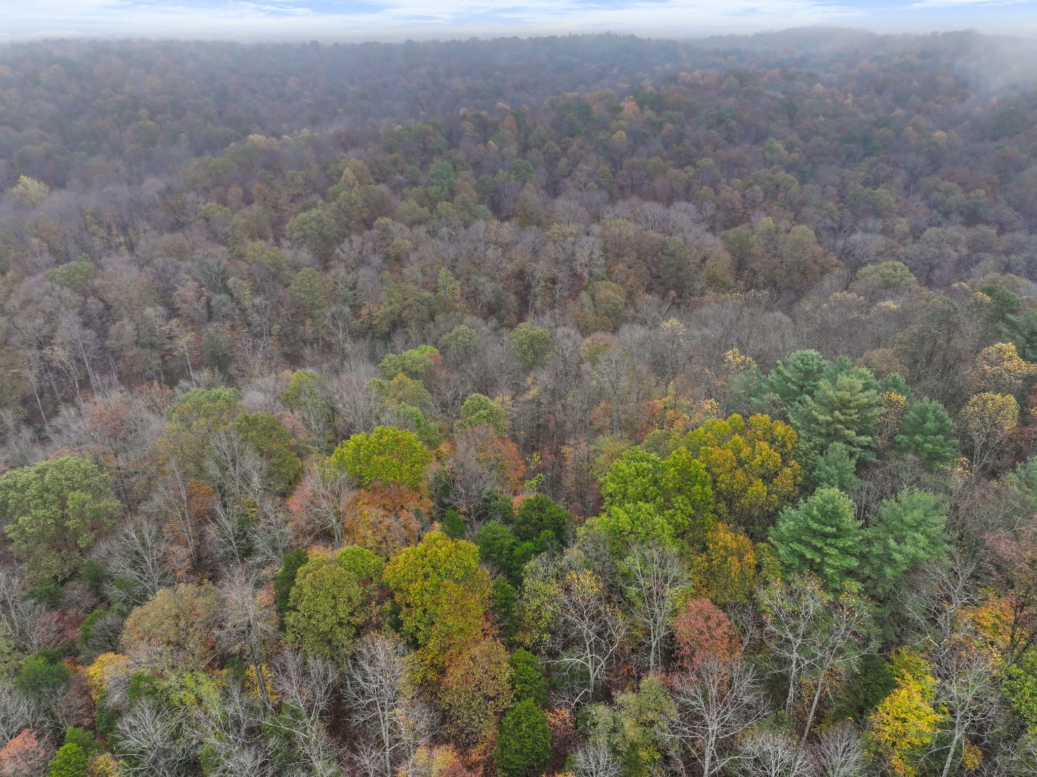 Cunningham, Tennessee, 37052, United States, ,Residential,For Sale,1920443