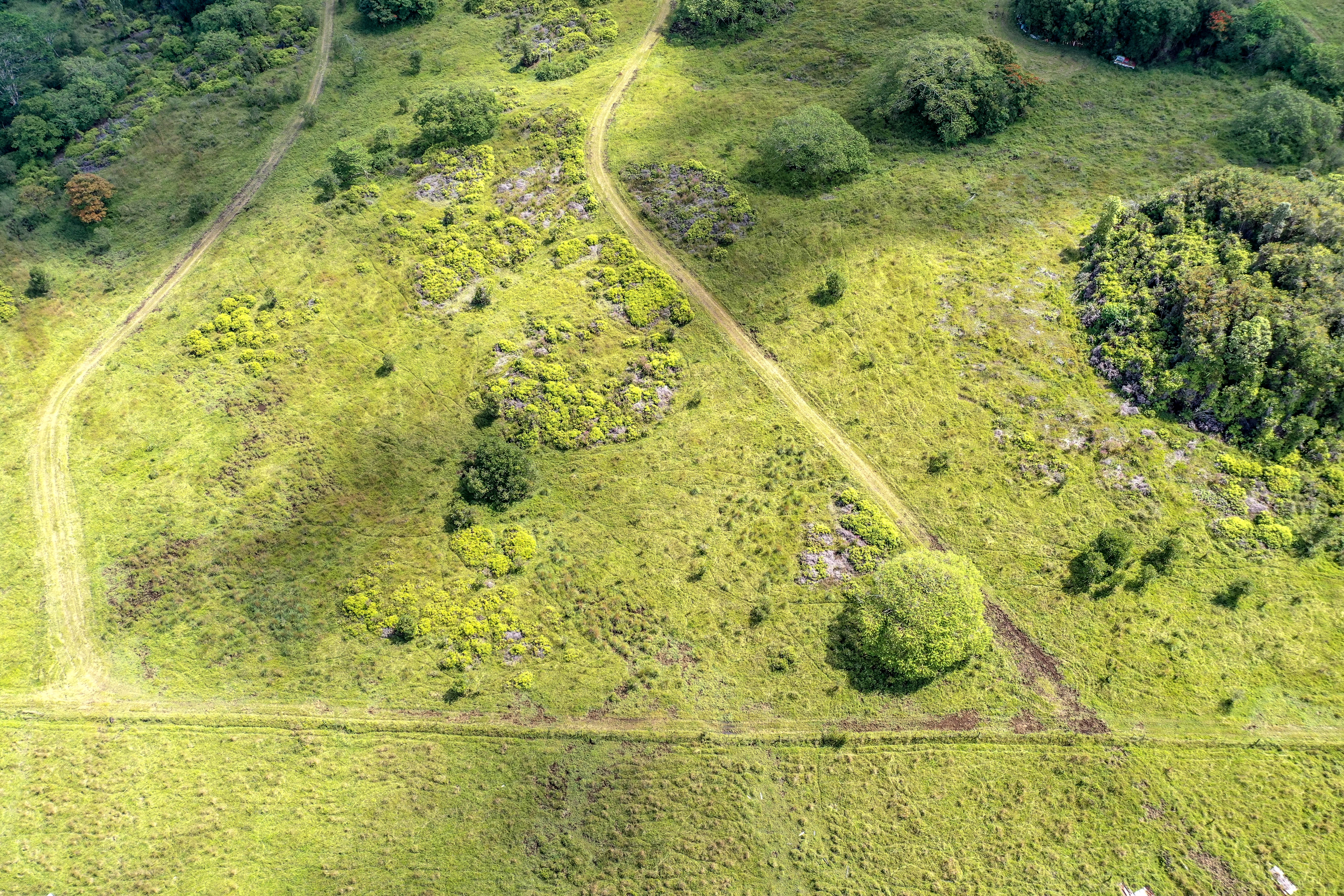  17-4870 South Rd, Kurtistown, HI, 96760 - 物件實景