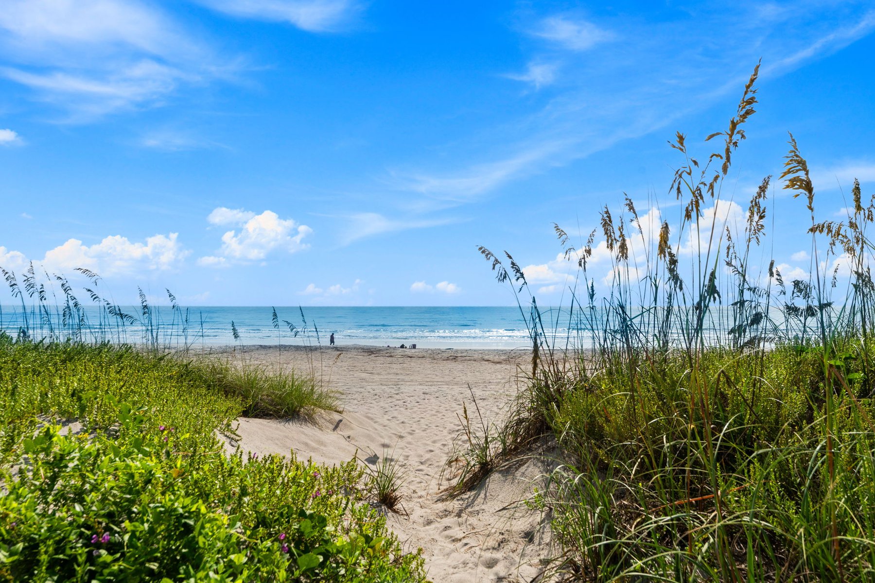  225 N Atlantic Avenue, Unit# 603, Cocoa Beach, FL, 32931 - 物件實景