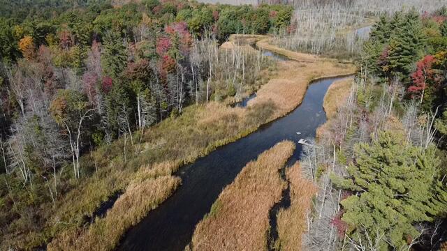 Branch, Michigan, 49402, United States, 5 Bedrooms Bedrooms, ,4 BathroomsBathrooms,Residential,For Sale,1986273
