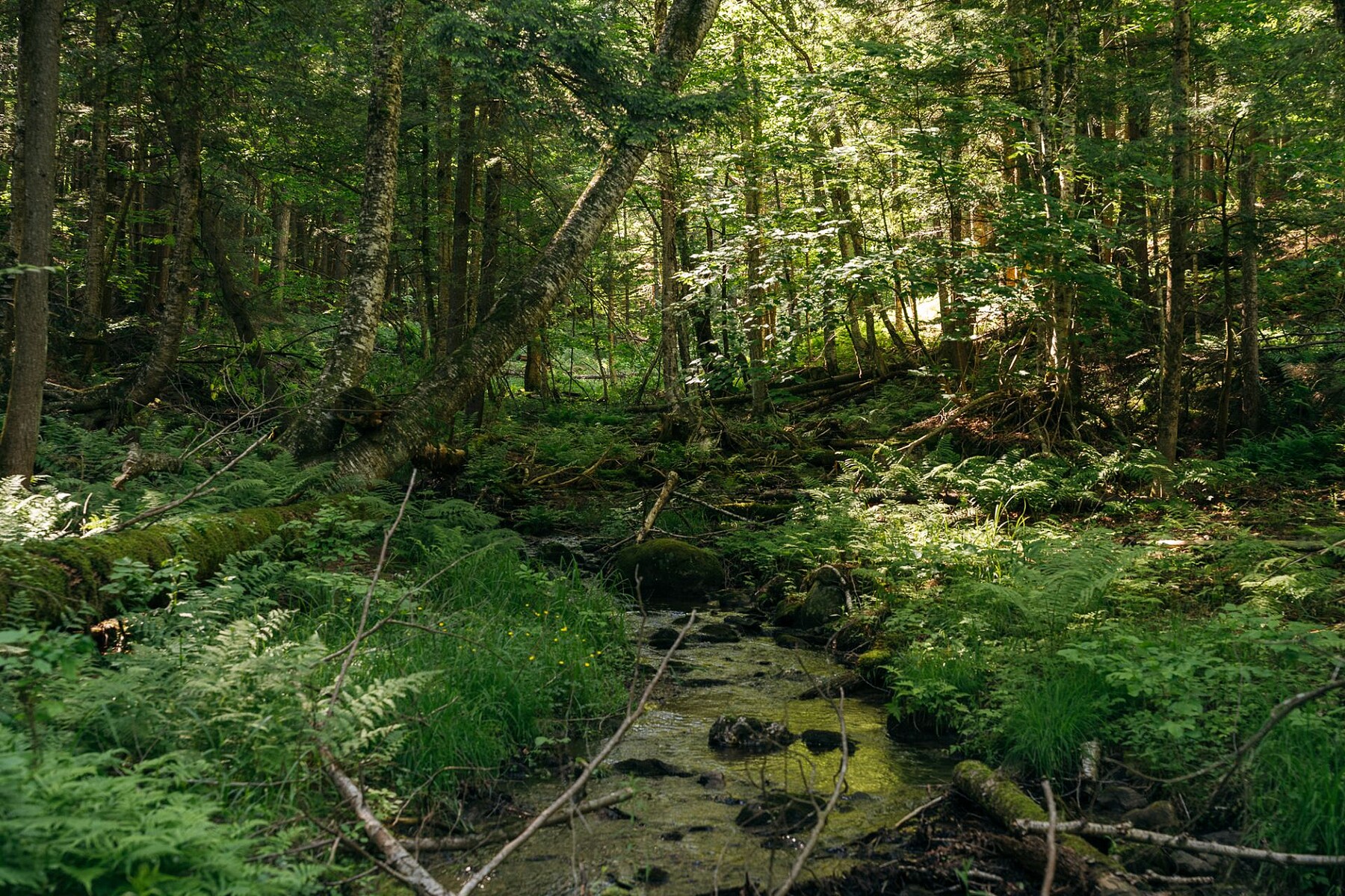  Sutton, Eastern Townships - 物件實景