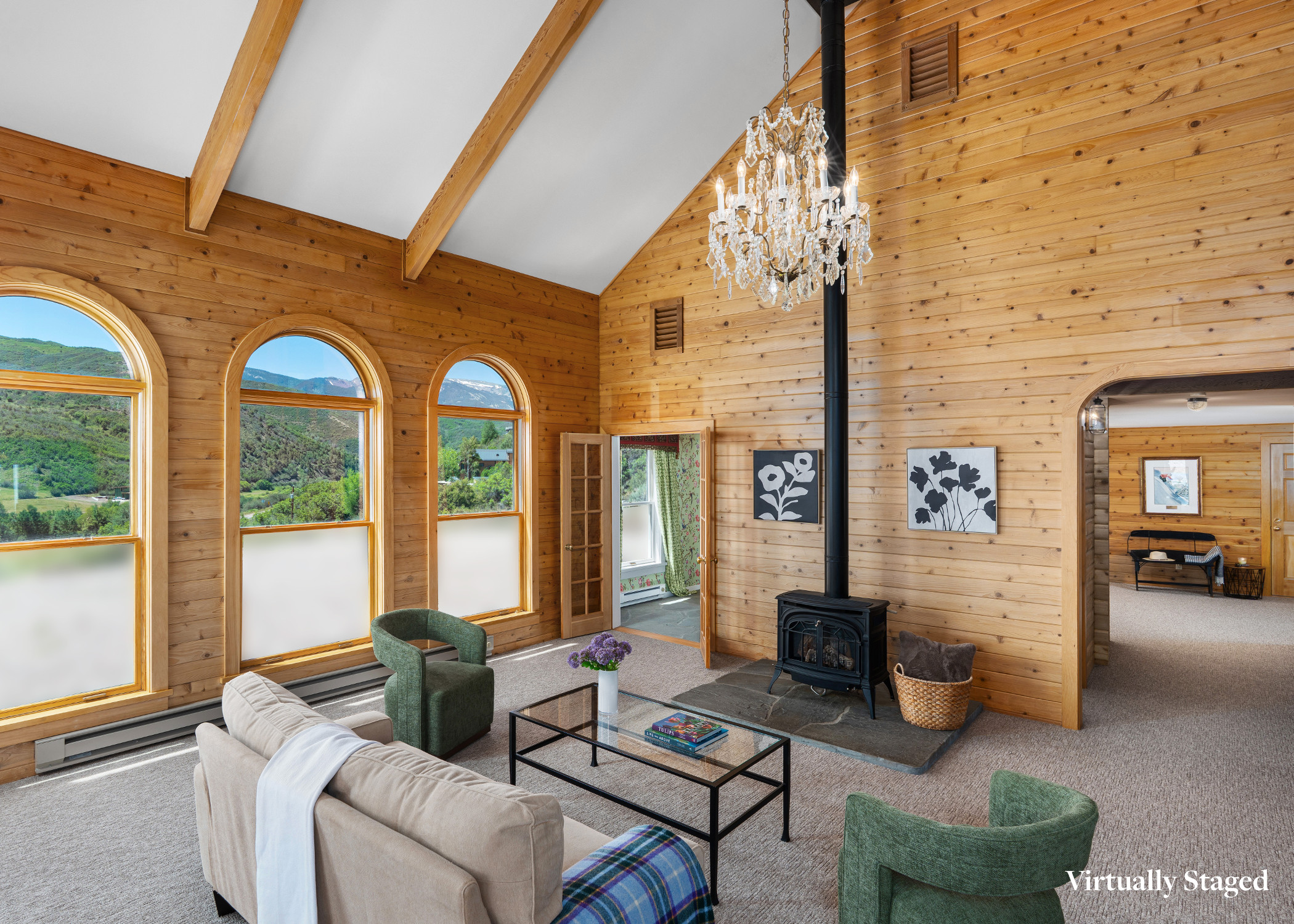  679 Brush Creek Road, Aspen, CO 81611 - 物件實景