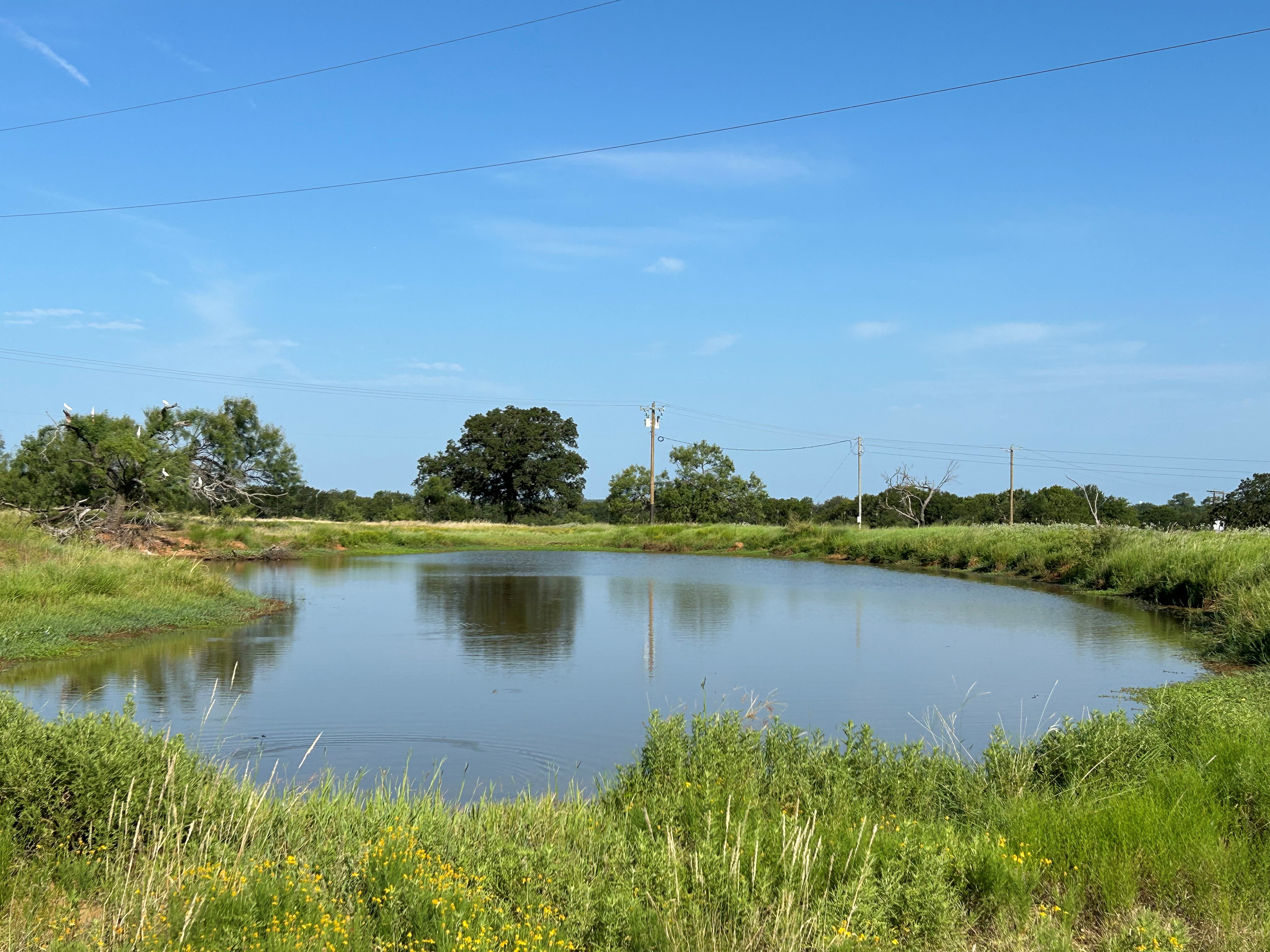 Bridgeport, Texas, 76426, United States, ,Land,For Sale,1981851