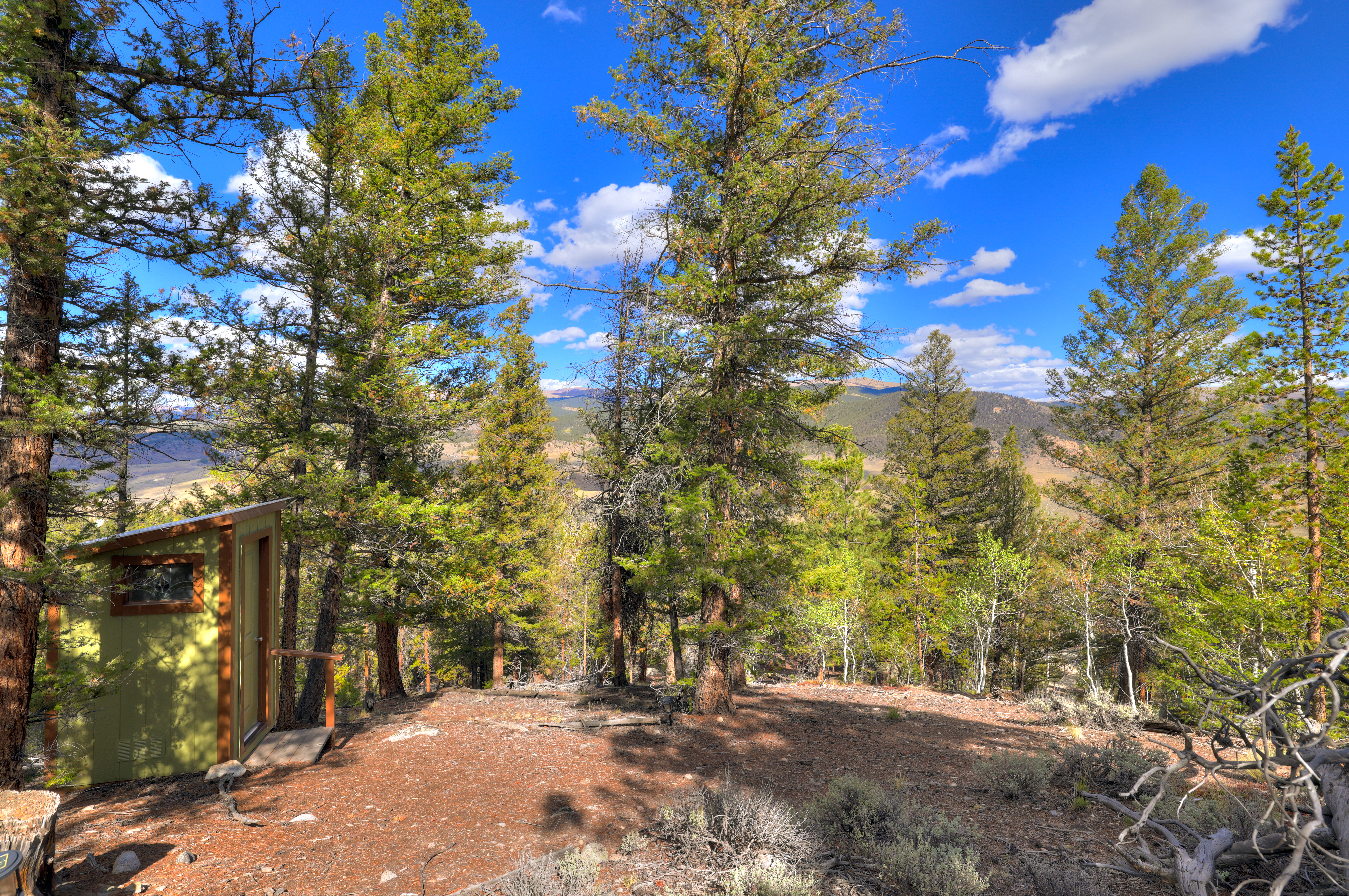  501 Reva Ridge Road, Twin Lakes, CO, 81251 - 物件實景