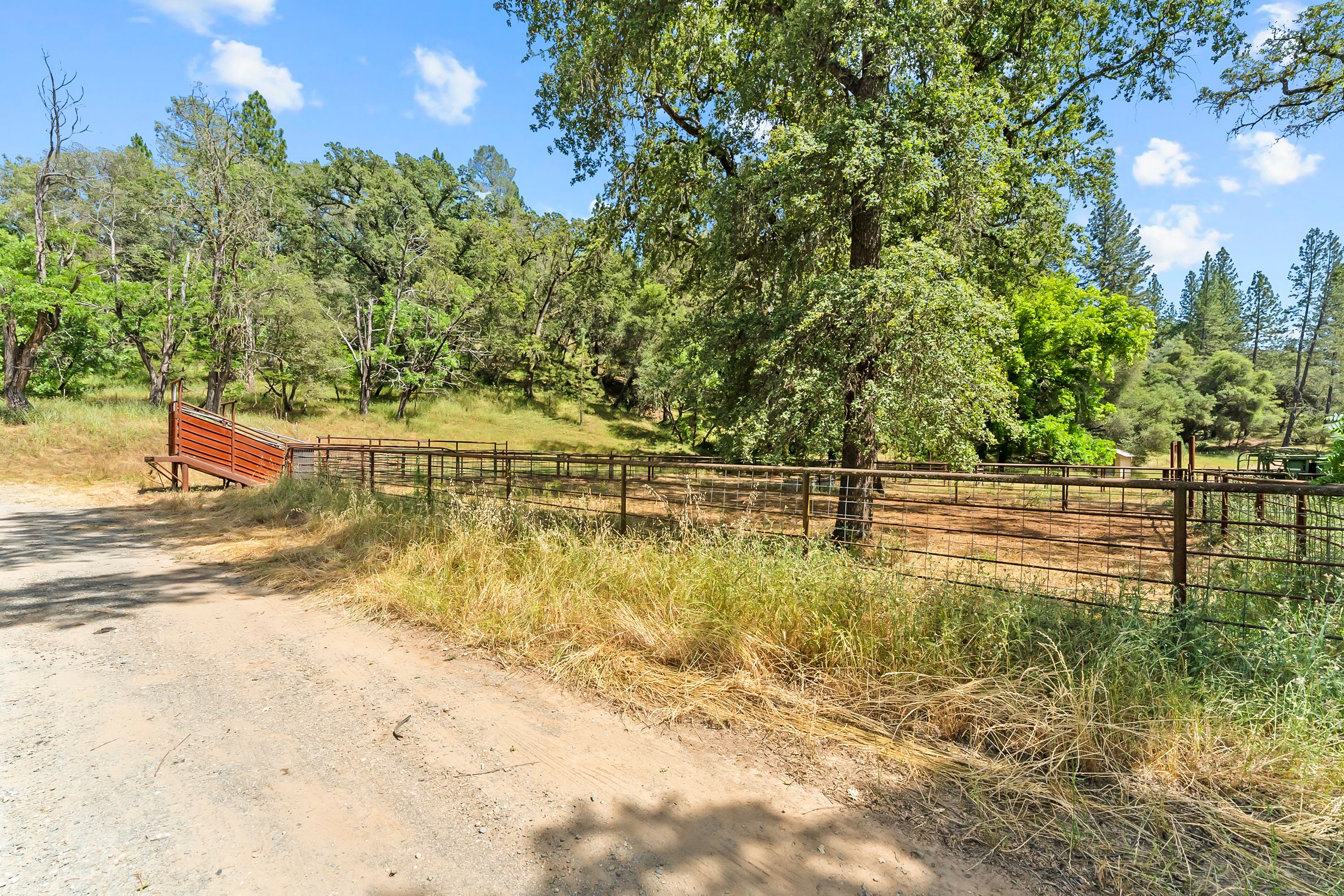  Amoruso Ranch 1000+ Acres Legacy - 物件實景