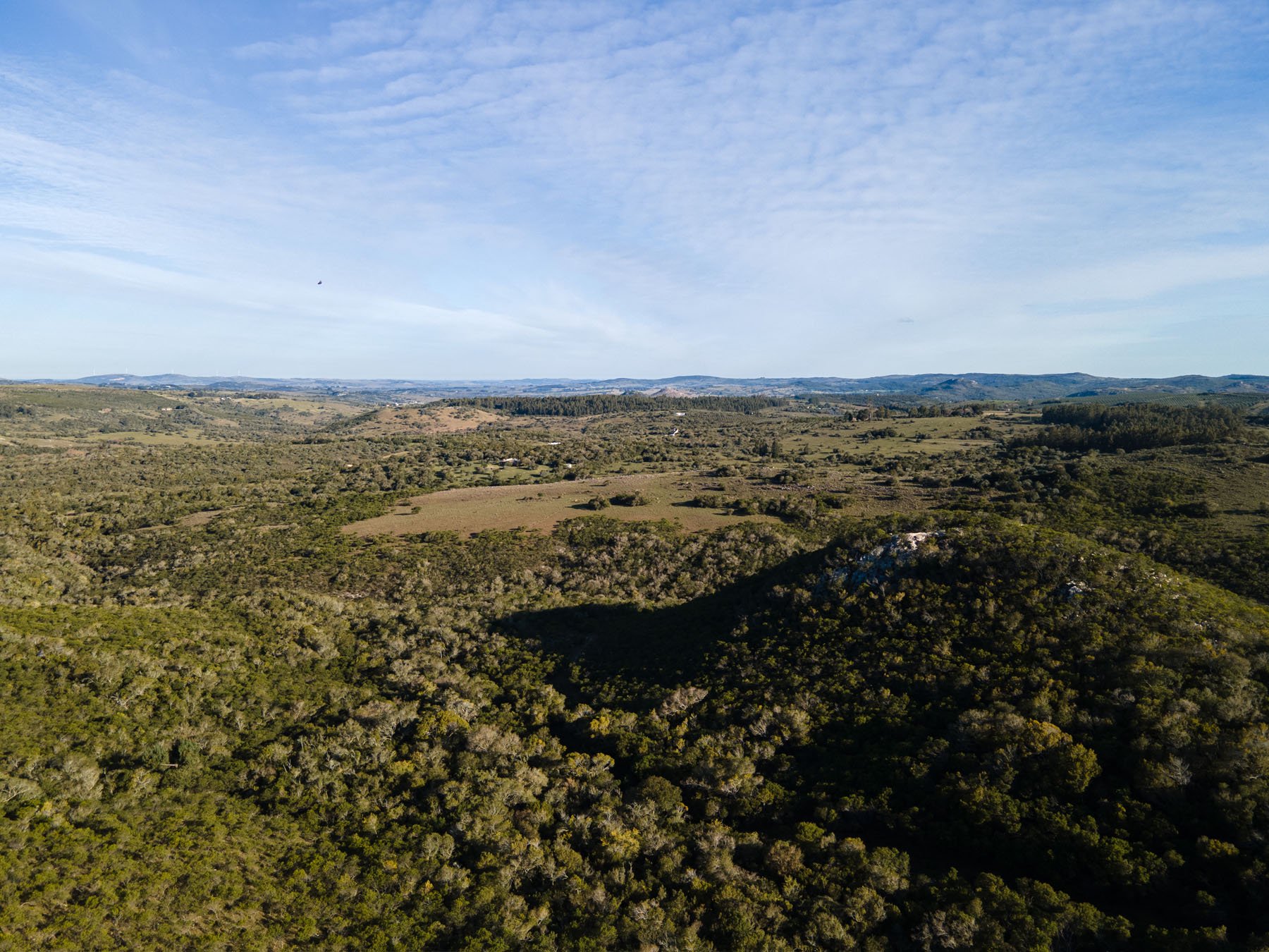  63.25 acres farm in Pueblo Edén. - 物件實景