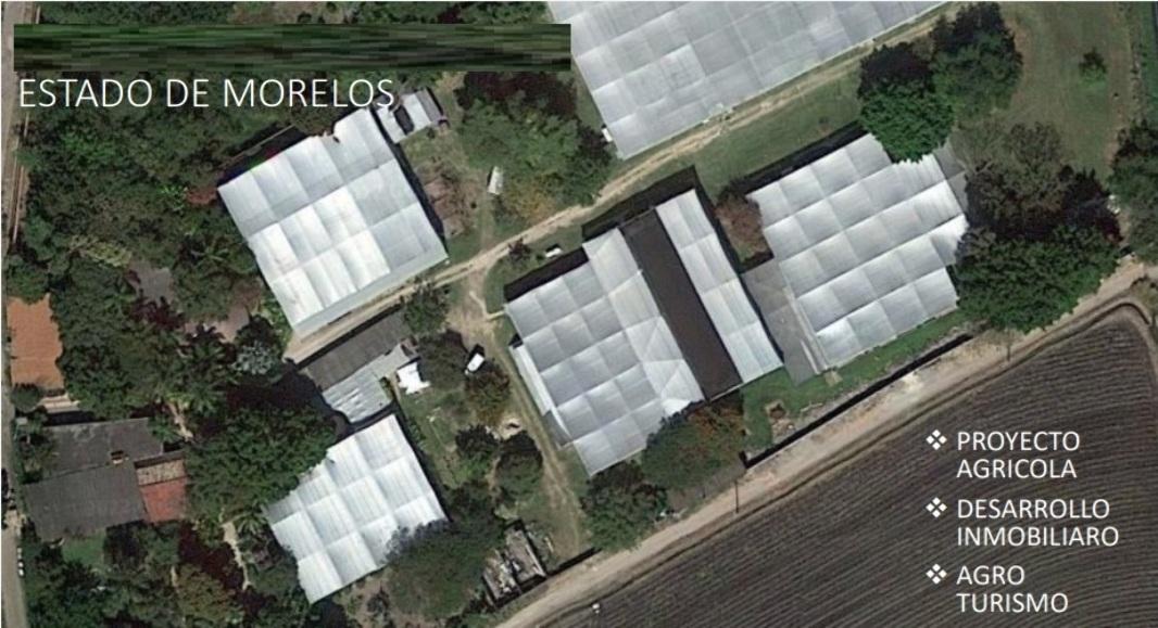 Campo Chamilpa, Yautepec, Morelos, 62739, Mexico, 9 Bedrooms Bedrooms, ,6 BathroomsBathrooms,Residential,For Sale,Campo Chamilpa,1443265