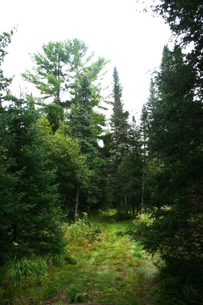 Butternut, Wisconsin, 54514, United States, ,Residential,For Sale,1921385