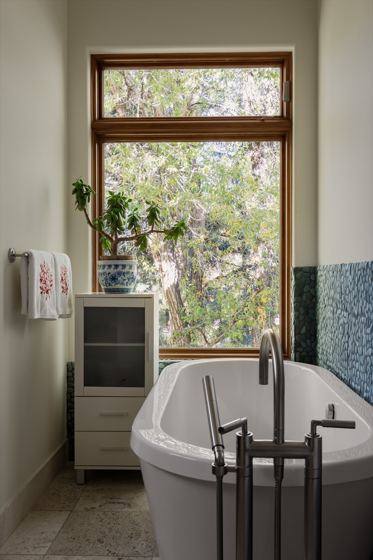 256 Twining Flats Road, Aspen, CO, 81611 - 物件實景