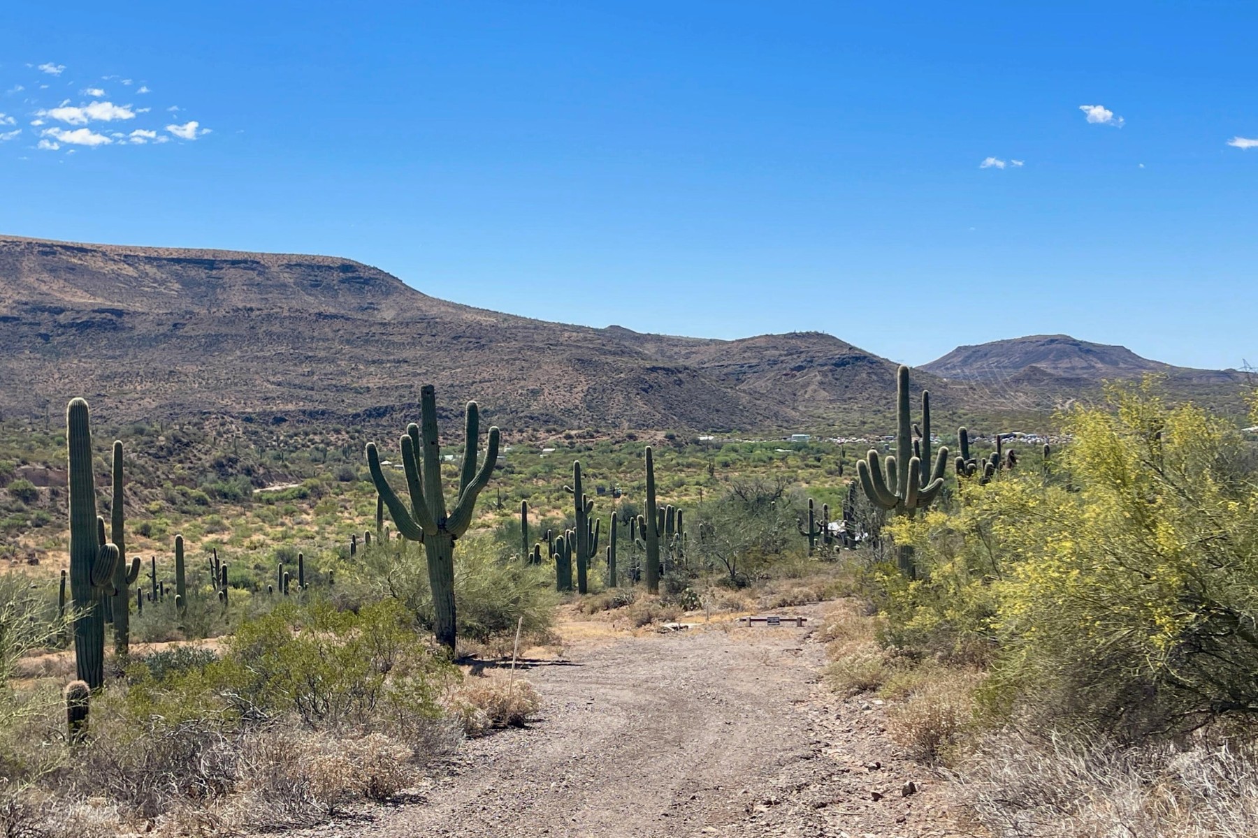  31900 S Tillys Trail¦Black Canyon City, AZ - 物件實景